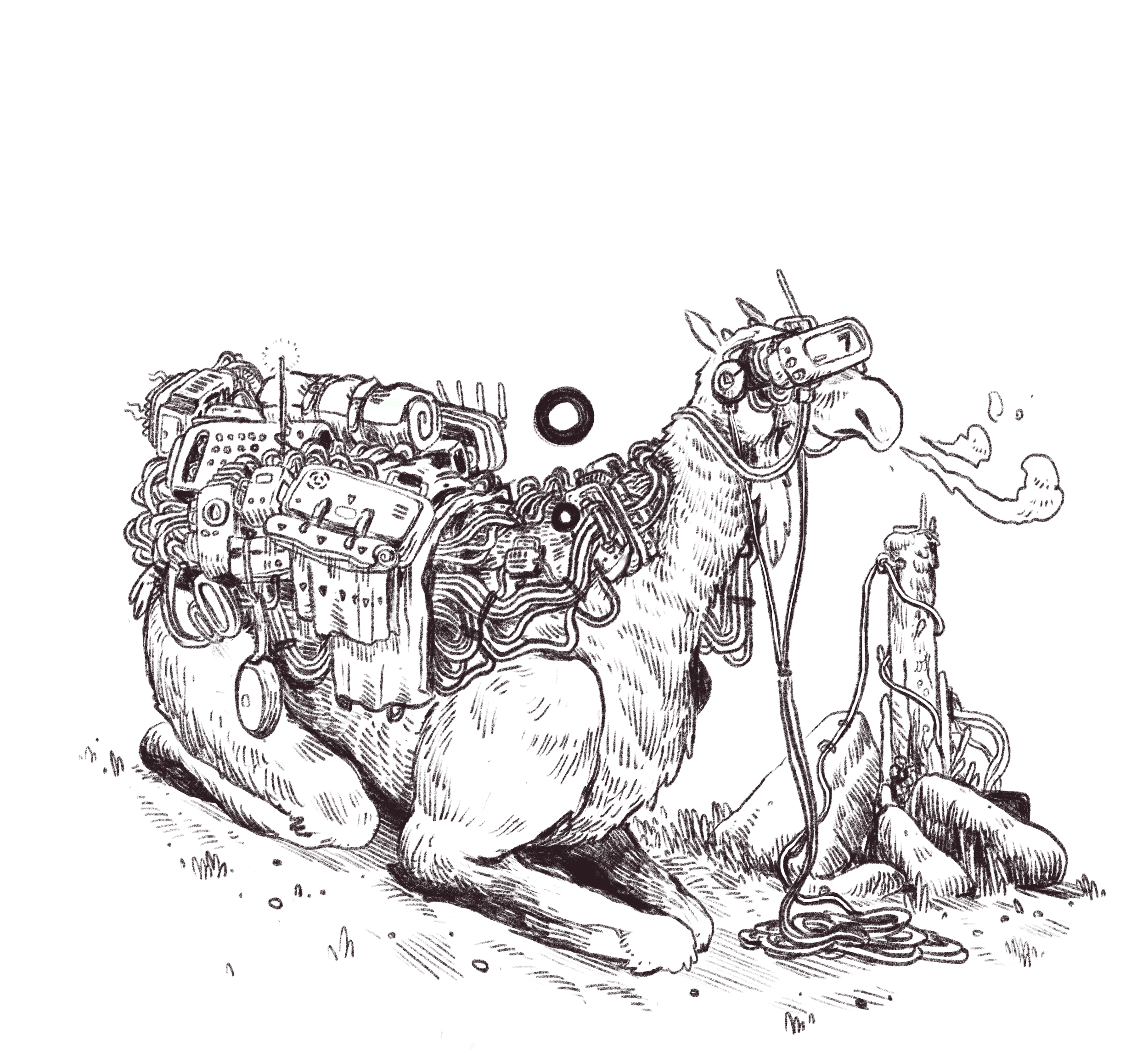 Mobile WiFI Unit (2019)