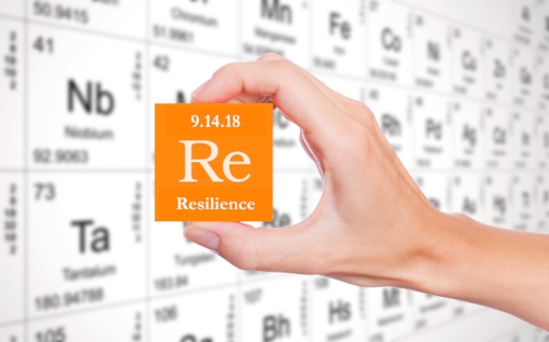 resilience element.jpeg