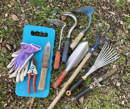 Gardening 101 Step By Step Beginner Gardening Guide Plant Harmony