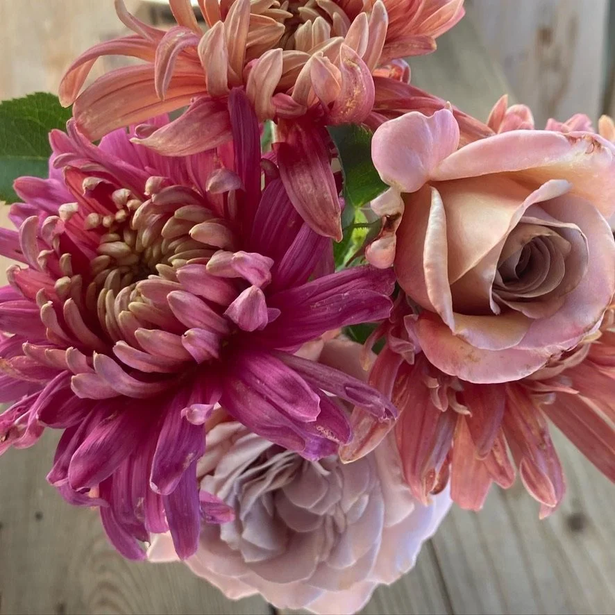 Springtime Tips for Growing Healthy Roses With Fewer Pests