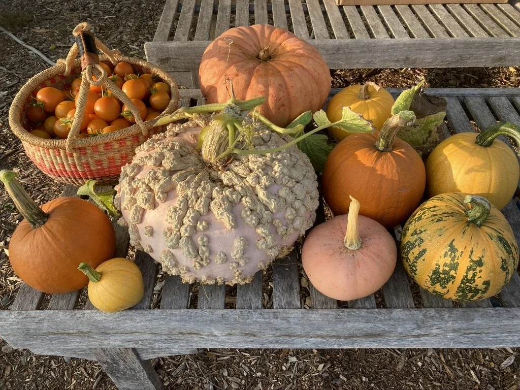 7 Tips For a Resilient Garden in Our Changing Climate