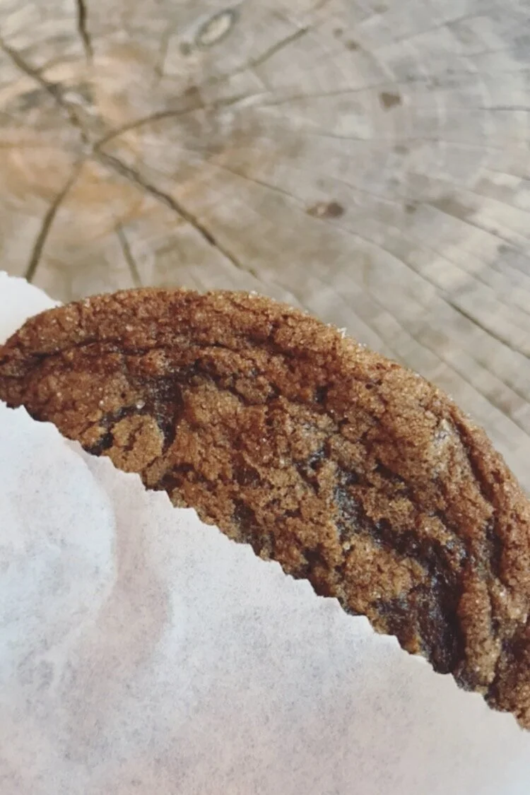 the chocolate ginger molasses cookie - highly recommend getting it if you go here!