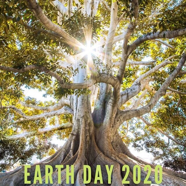 Earth Day 2020 has more meaning than most in our lifetime. The Earth is showing us how it flourishes when we aren't damaging it. .
.
.
#earthday #nature #earth #wild #hiking #wilderness #climatechange #environment #savetheplanet #green #zerowaste #ec