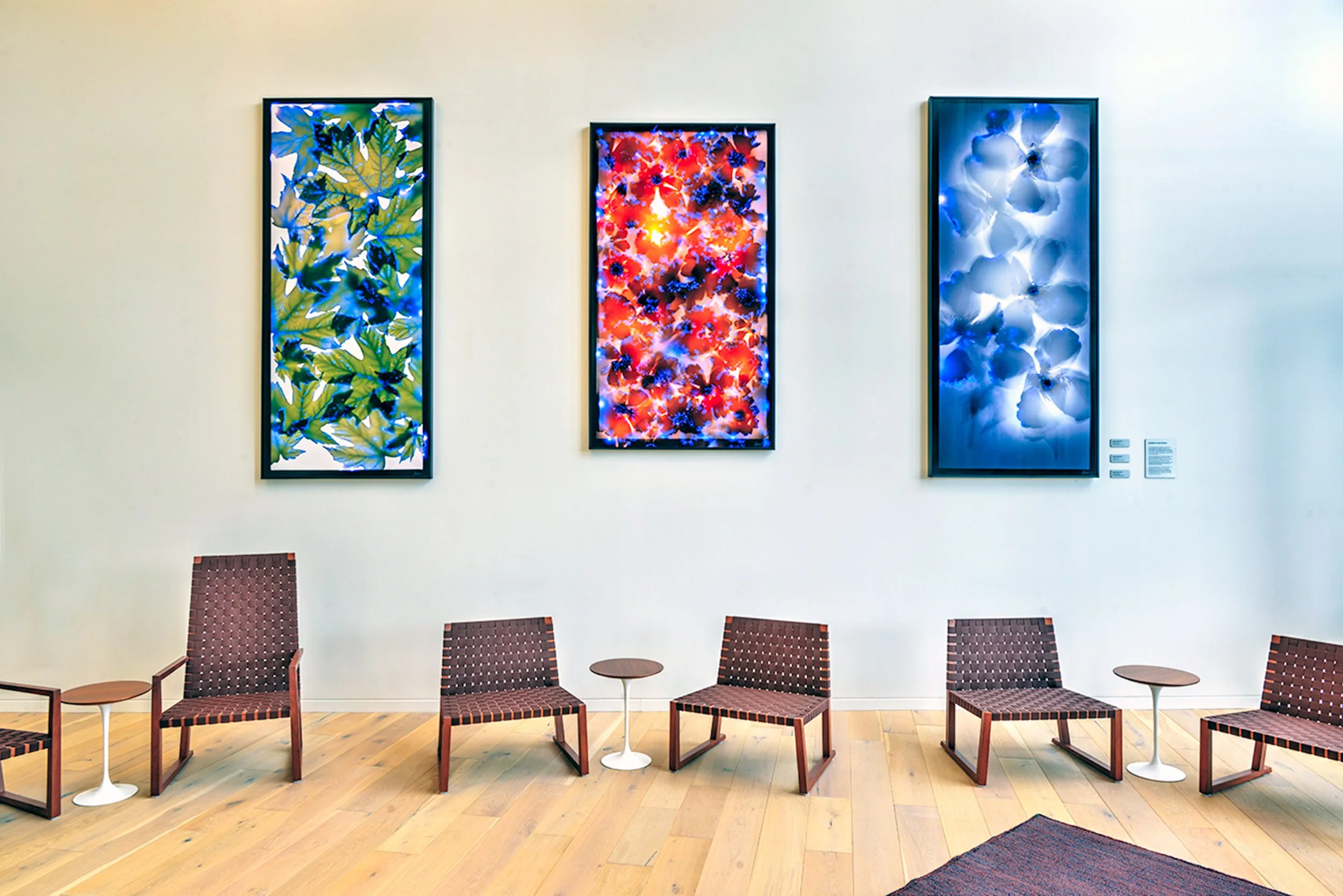 Caitlin Luebbe_Environmental Design_Park Point_135 Building Lobby (1).jpg