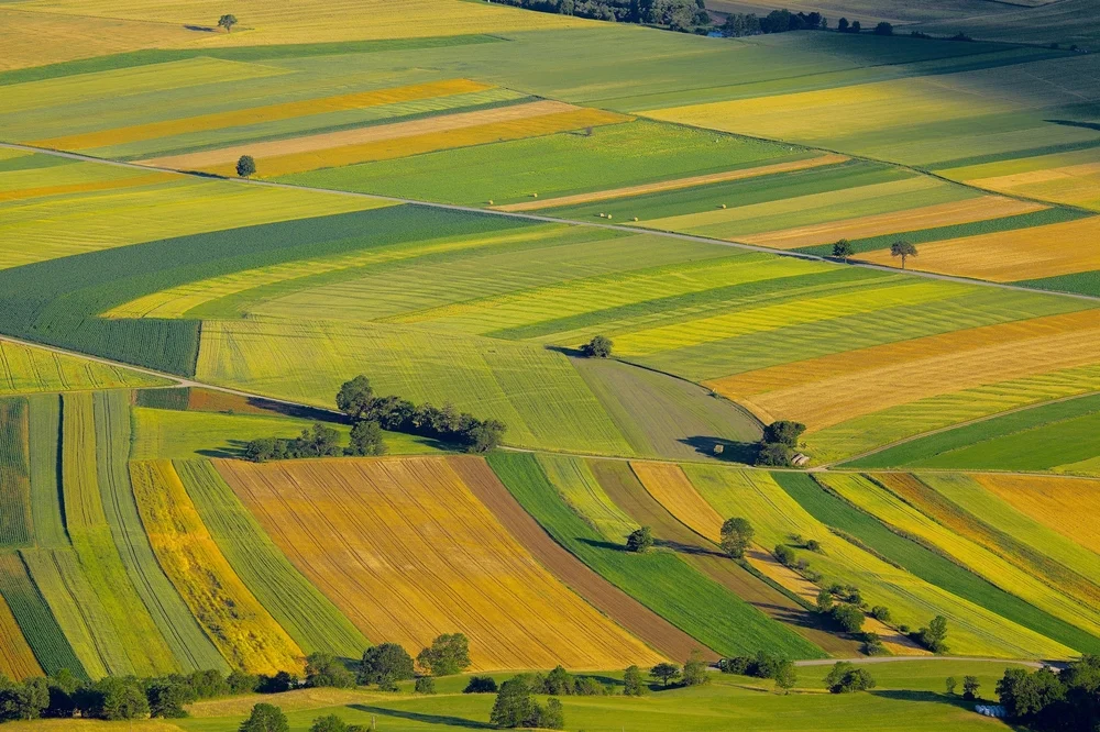 field patterns.jpg