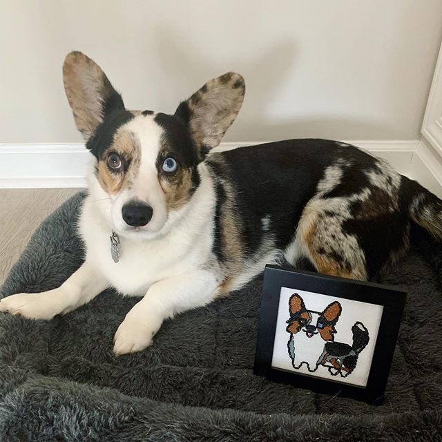 Here&rsquo;s a cutie to brighten up your Monday morning!! I cross-stitched this little doggie replica for my boyfriend last Christmas, and just got around to taking photos with the muse himself this weekend!! Self made pattern so I could get his gorg