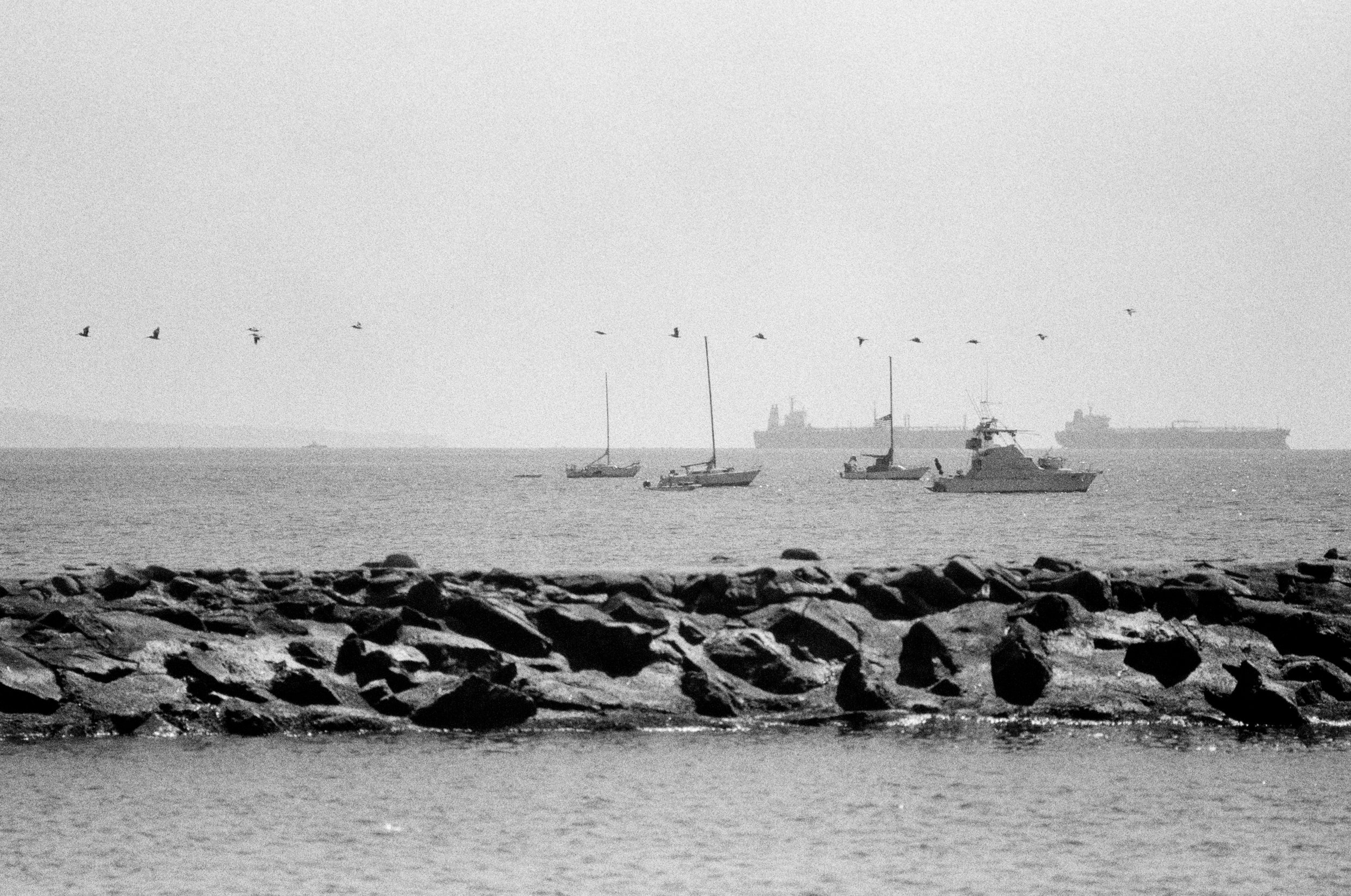 Marina Del Rey FM2bk 180mm ISO200 f4 2000th HP5-22.jpg