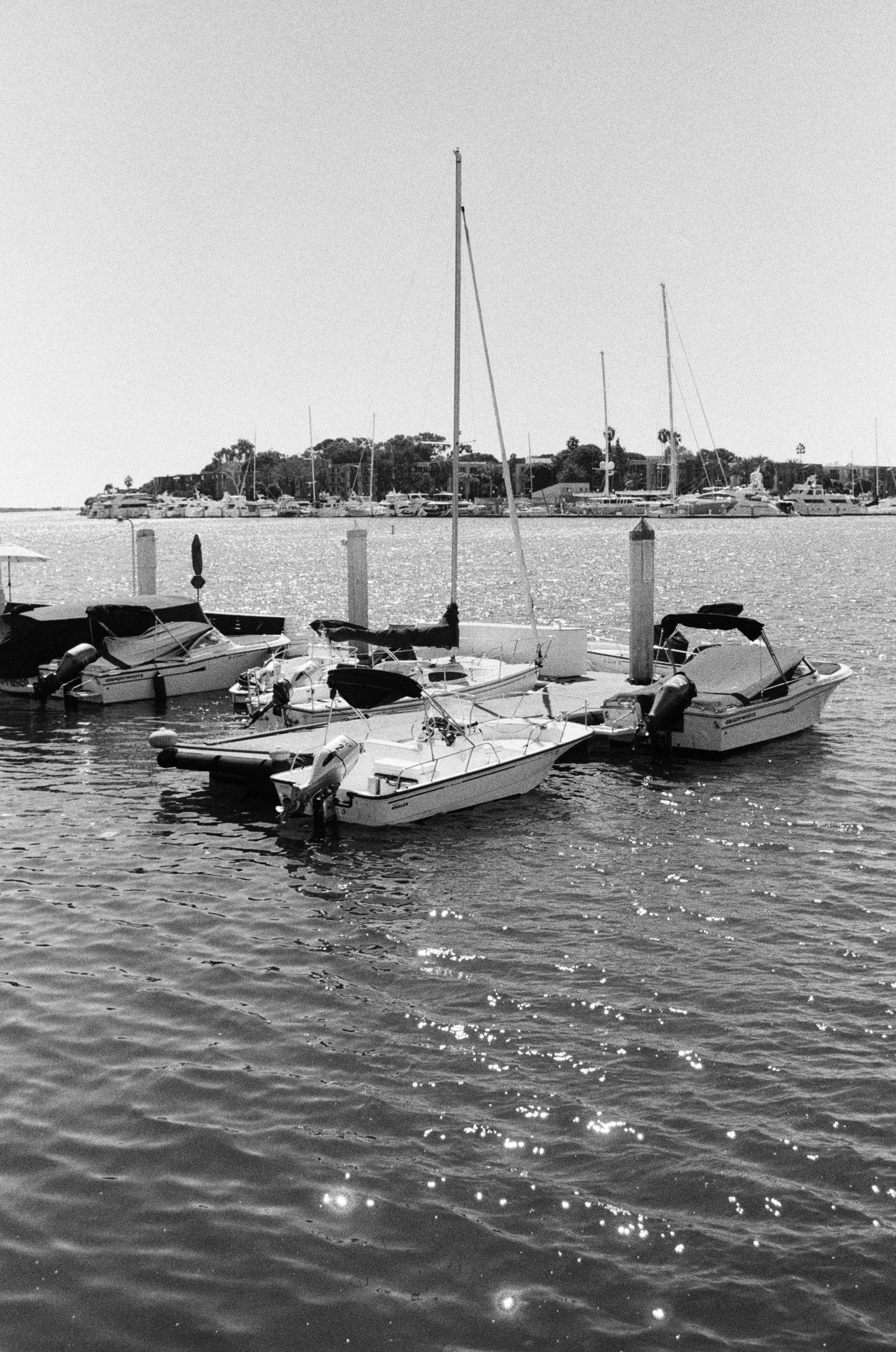 Marina Del Rey FM2bk 35105mm ISO200 f5-6 HP5-5.jpg