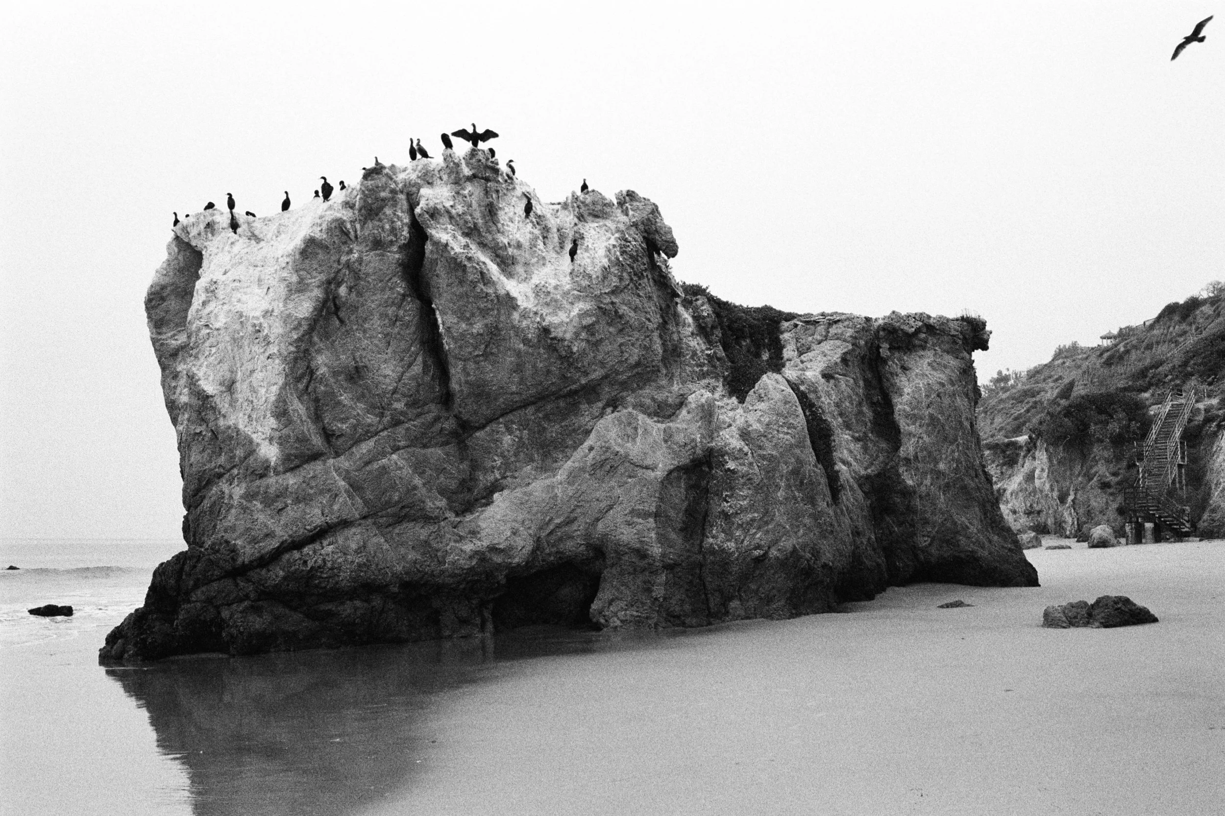 COASTAL MEMORY-1.jpg