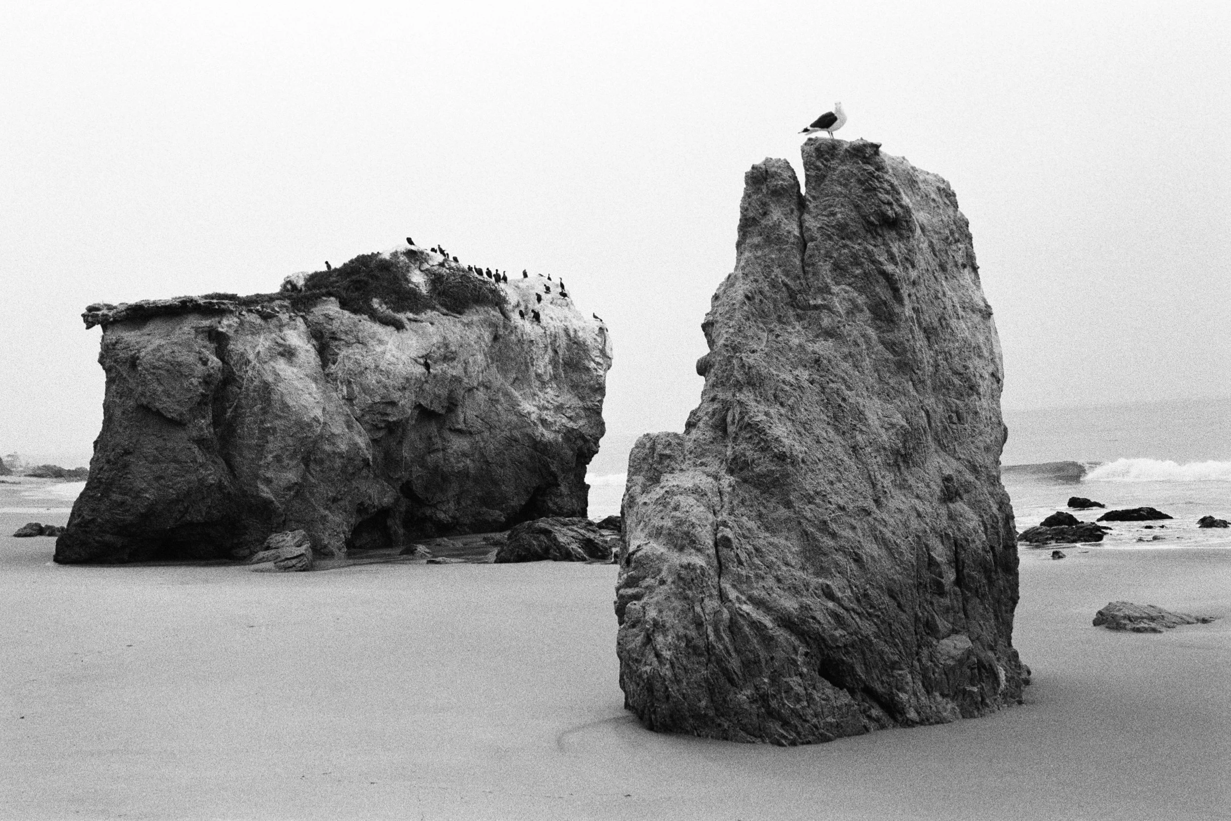 COASTAL MEMORY-2.jpg