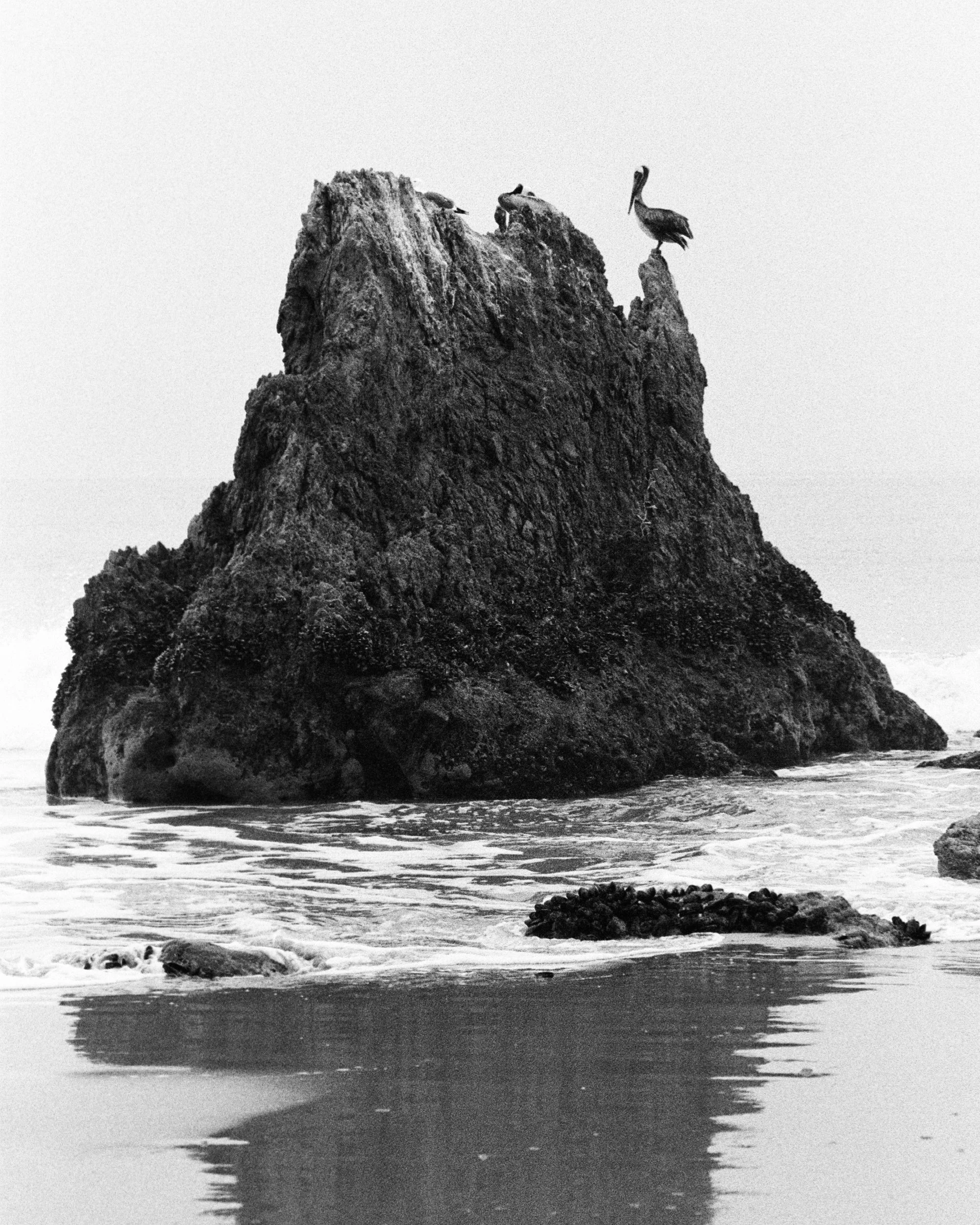 COASTAL MEMORY-3.jpg