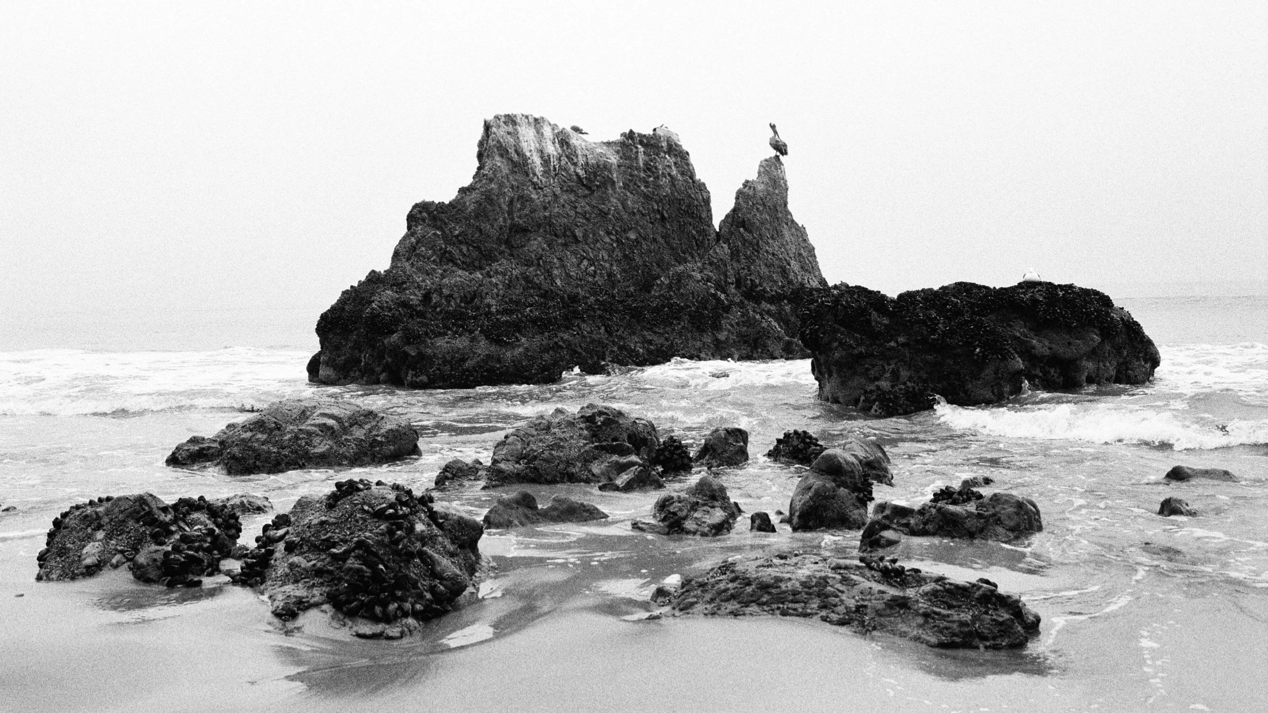 COASTAL MEMORY-6.jpg