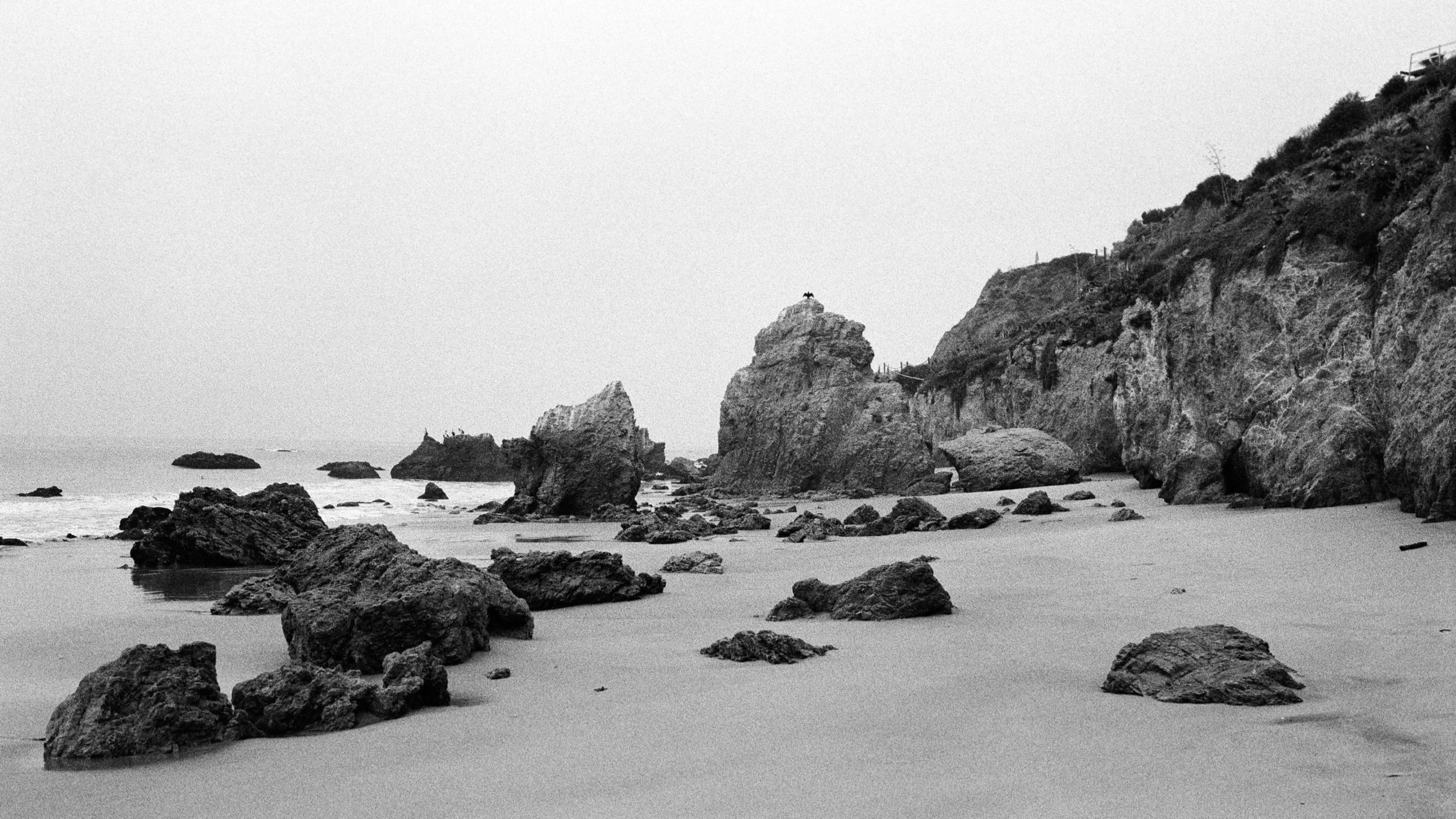 COASTAL MEMORY-8.jpg