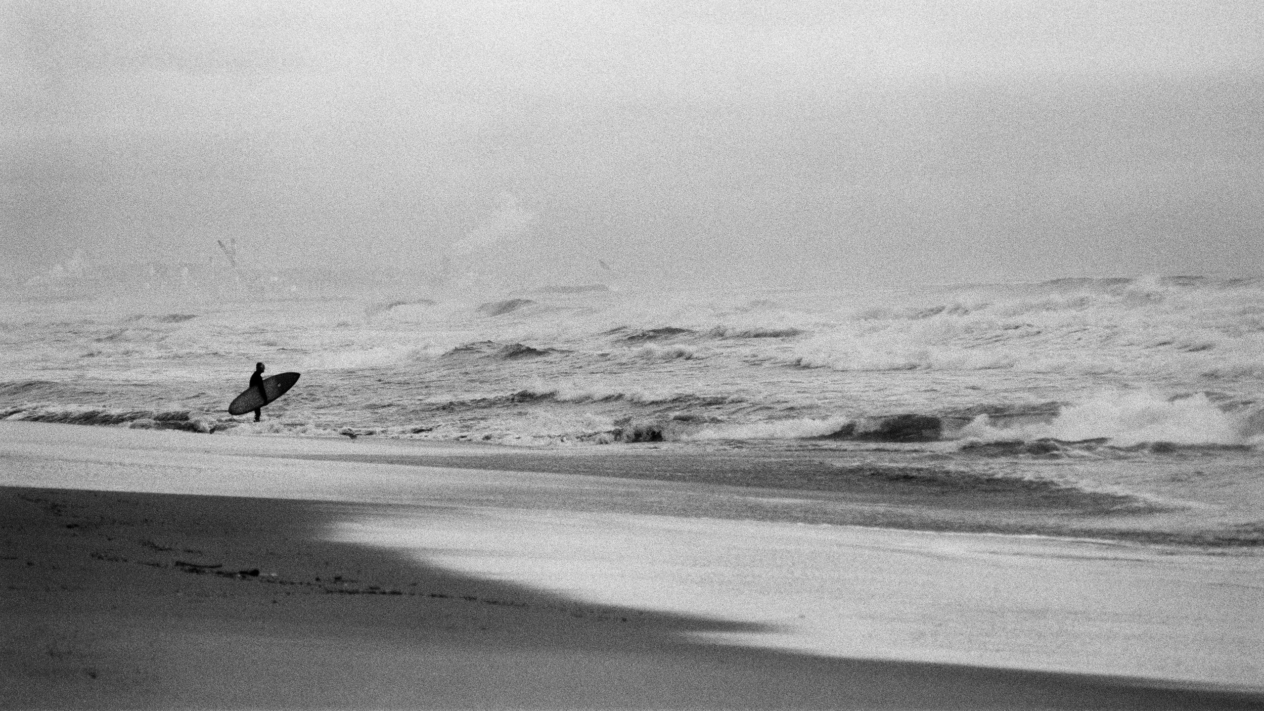 COASTAL MEMORY-12.jpg