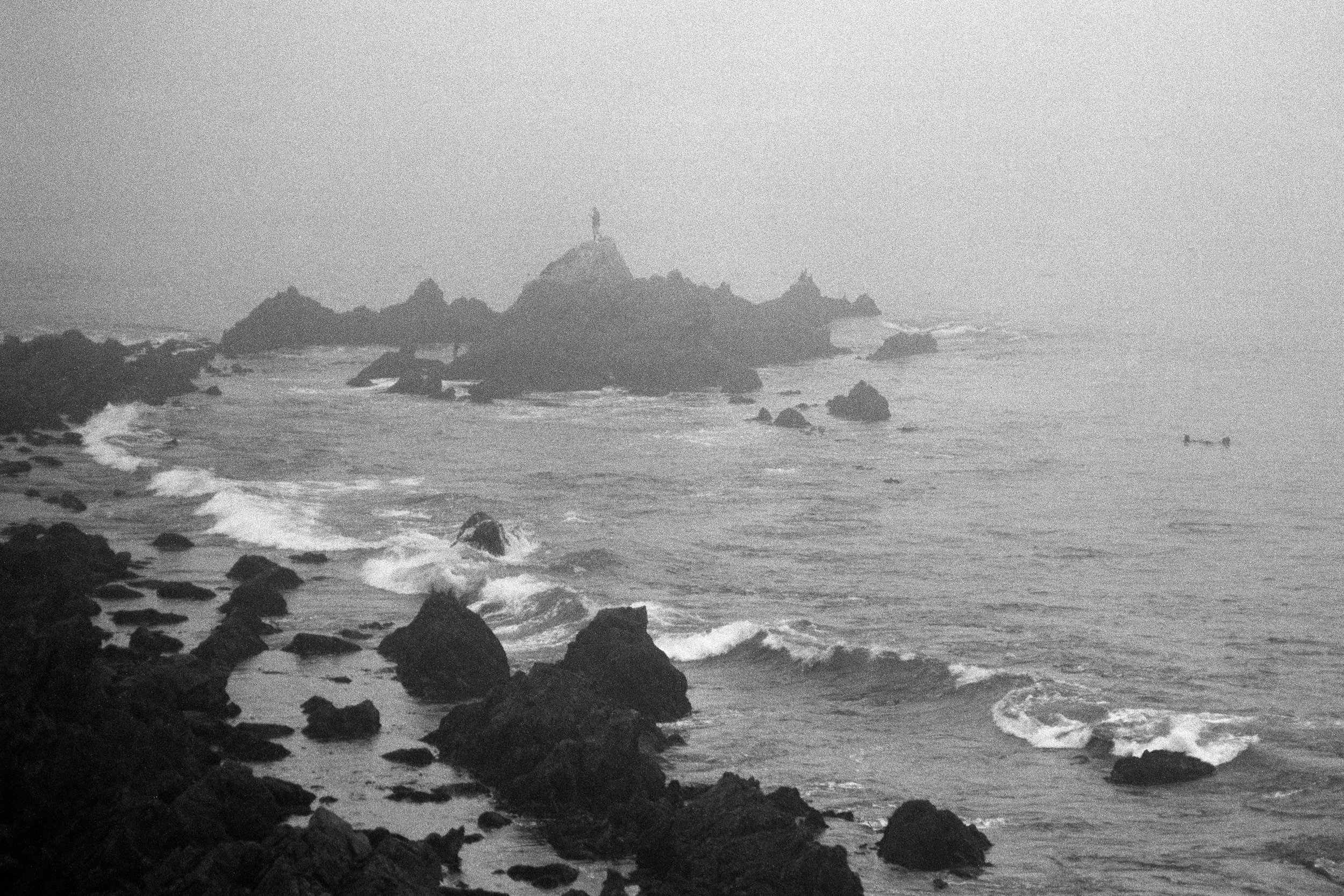 COASTAL MEMORY-15.jpg