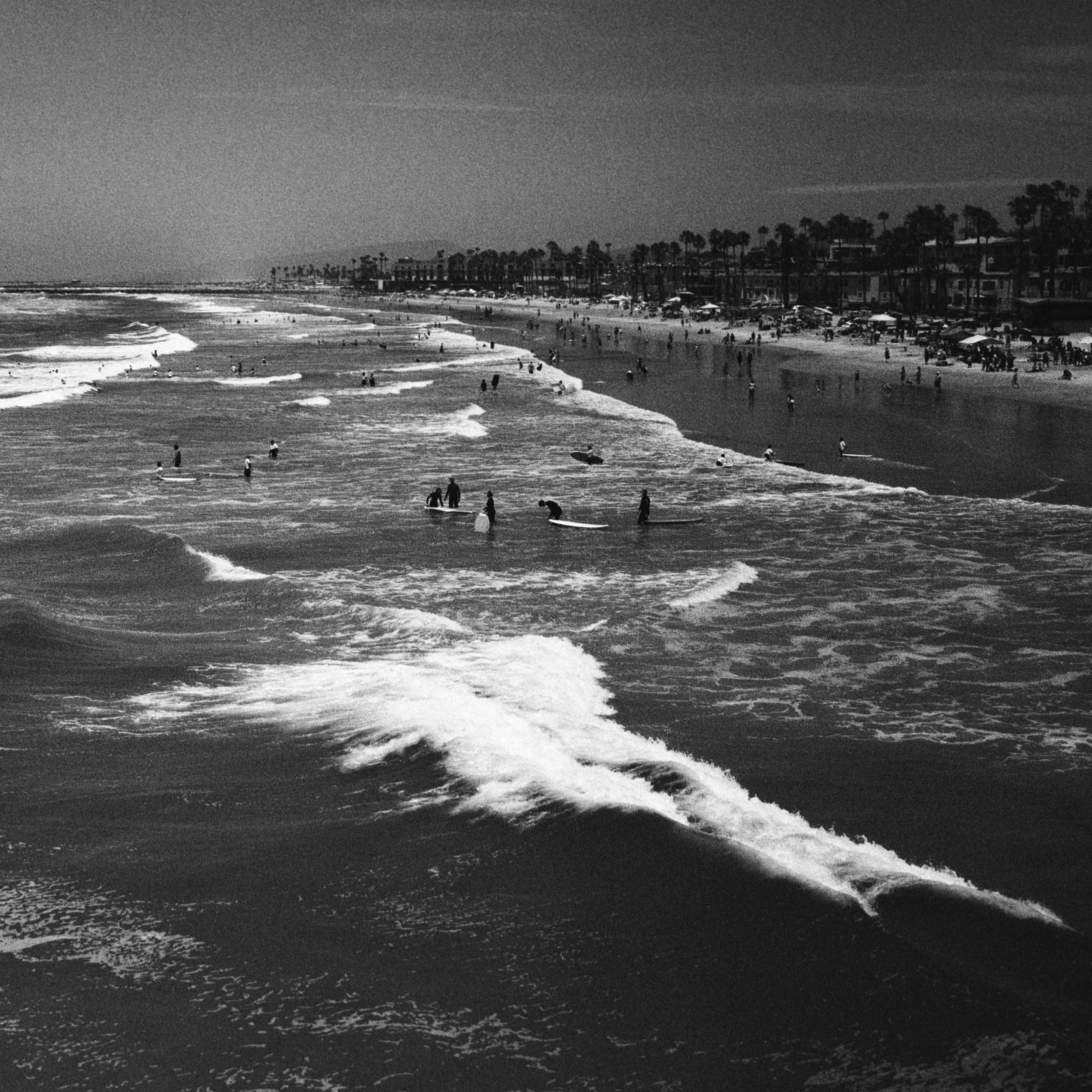 COASTAL MEMORY-18.jpg