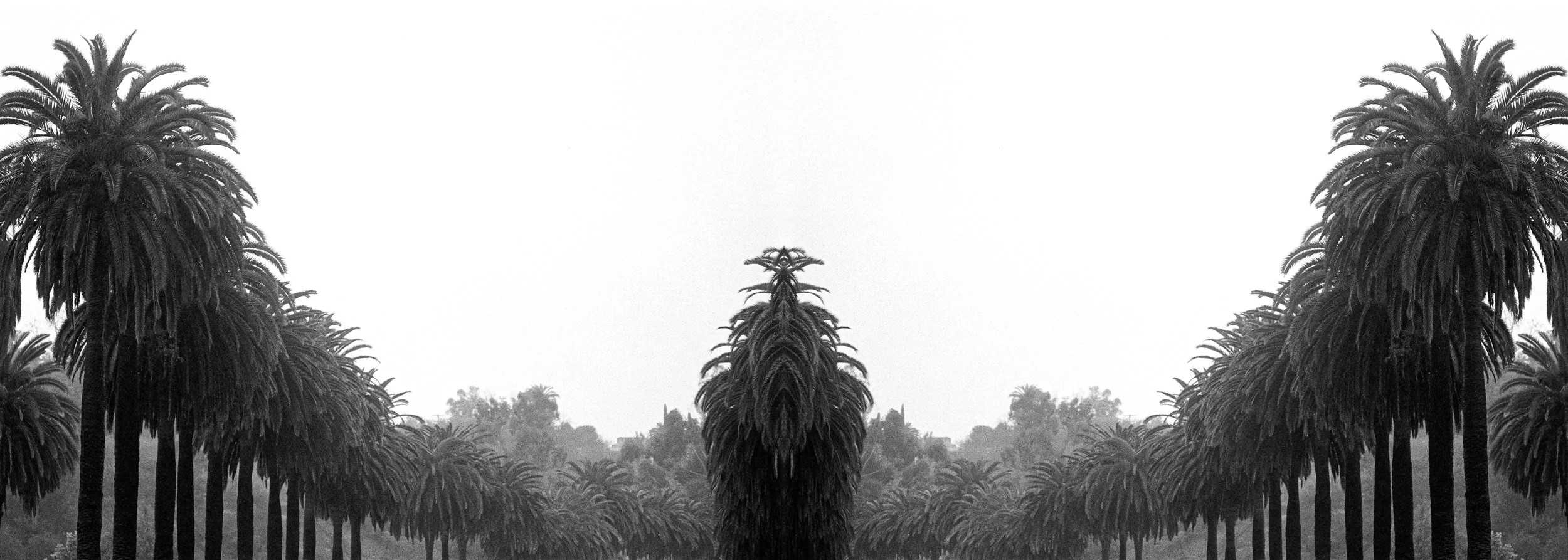 REFLECTION ETERNAL-6.jpg