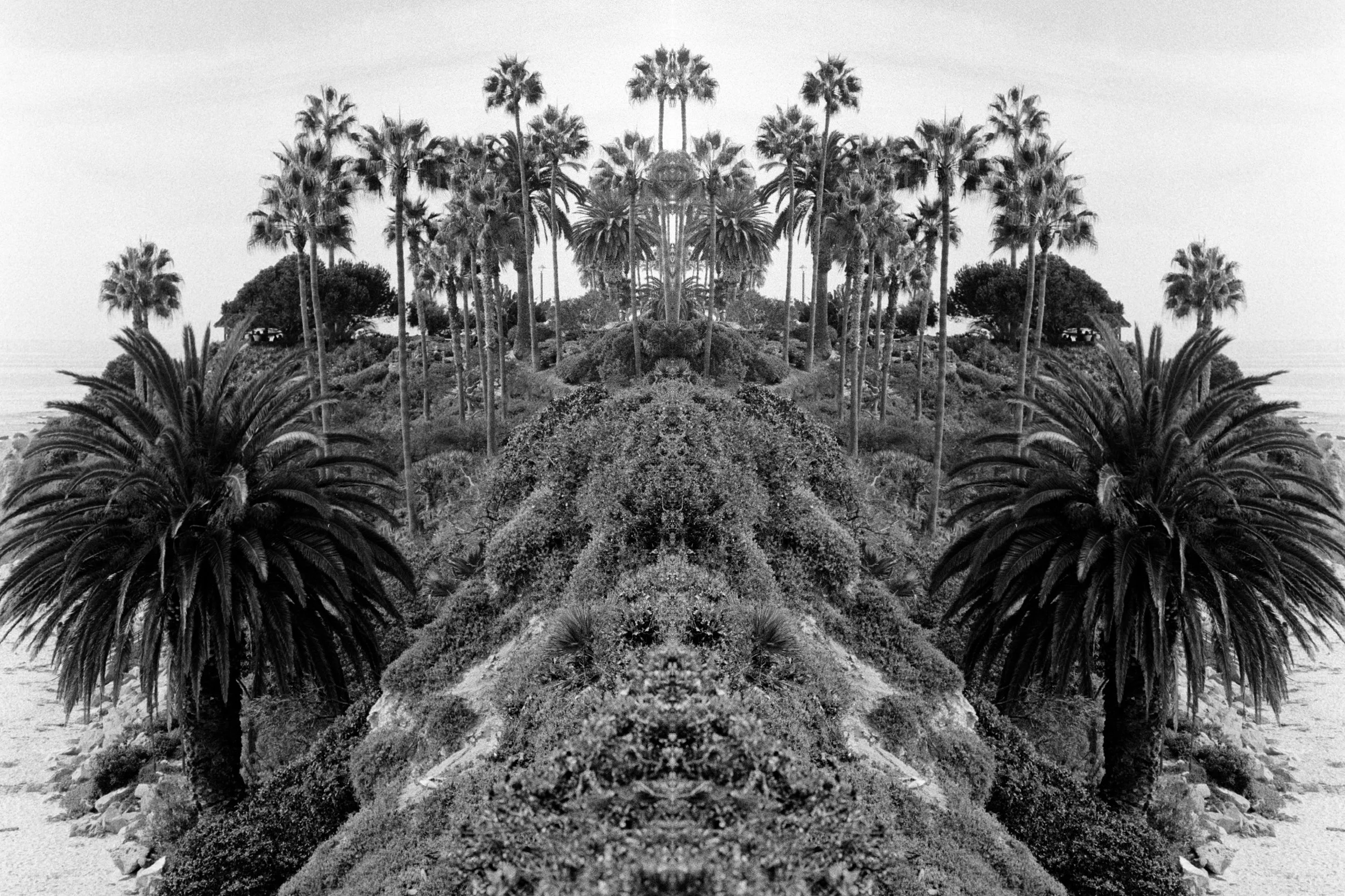 REFLECTION ETERNAL-7.jpg
