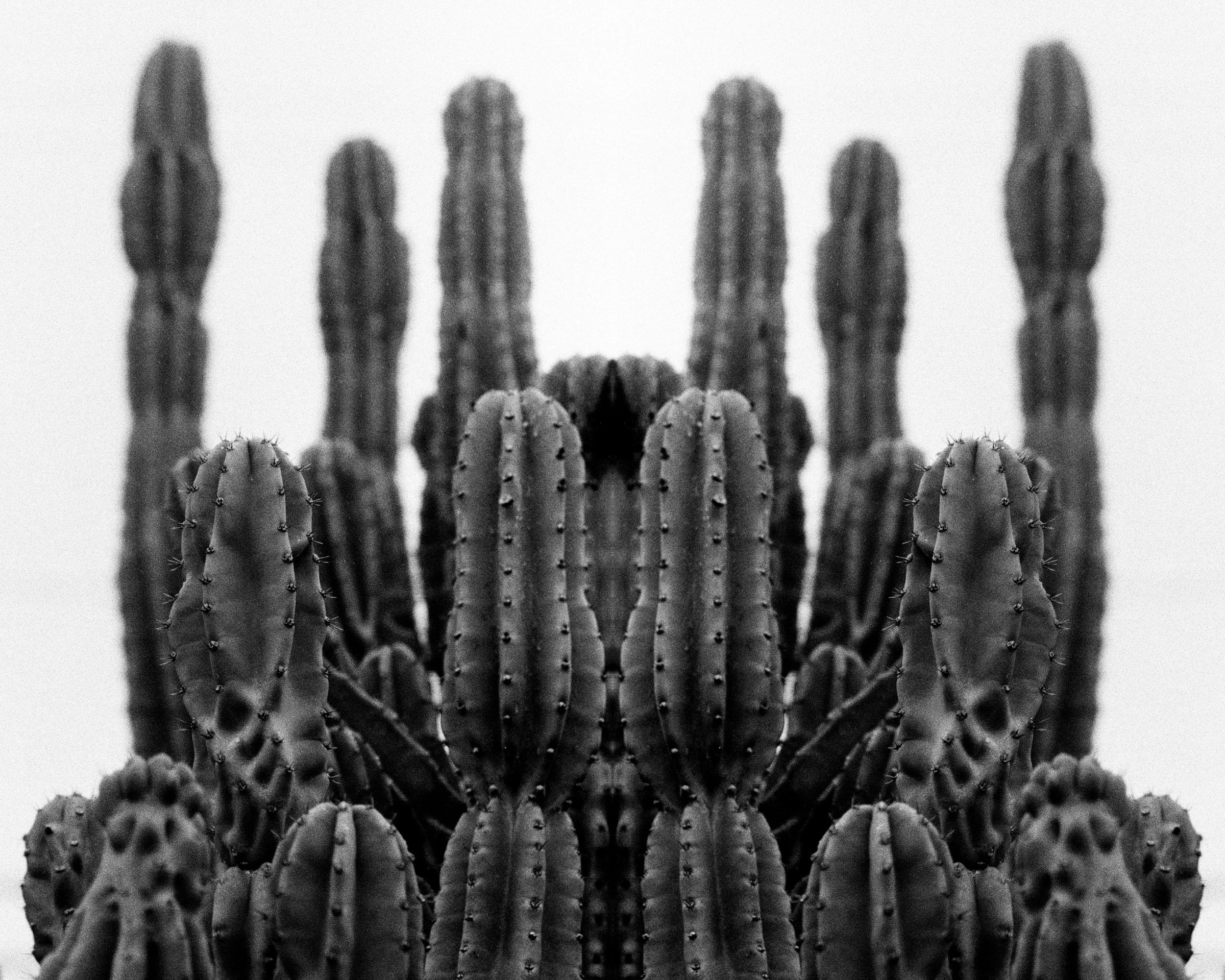 REFLECTION ETERNAL-9.jpg