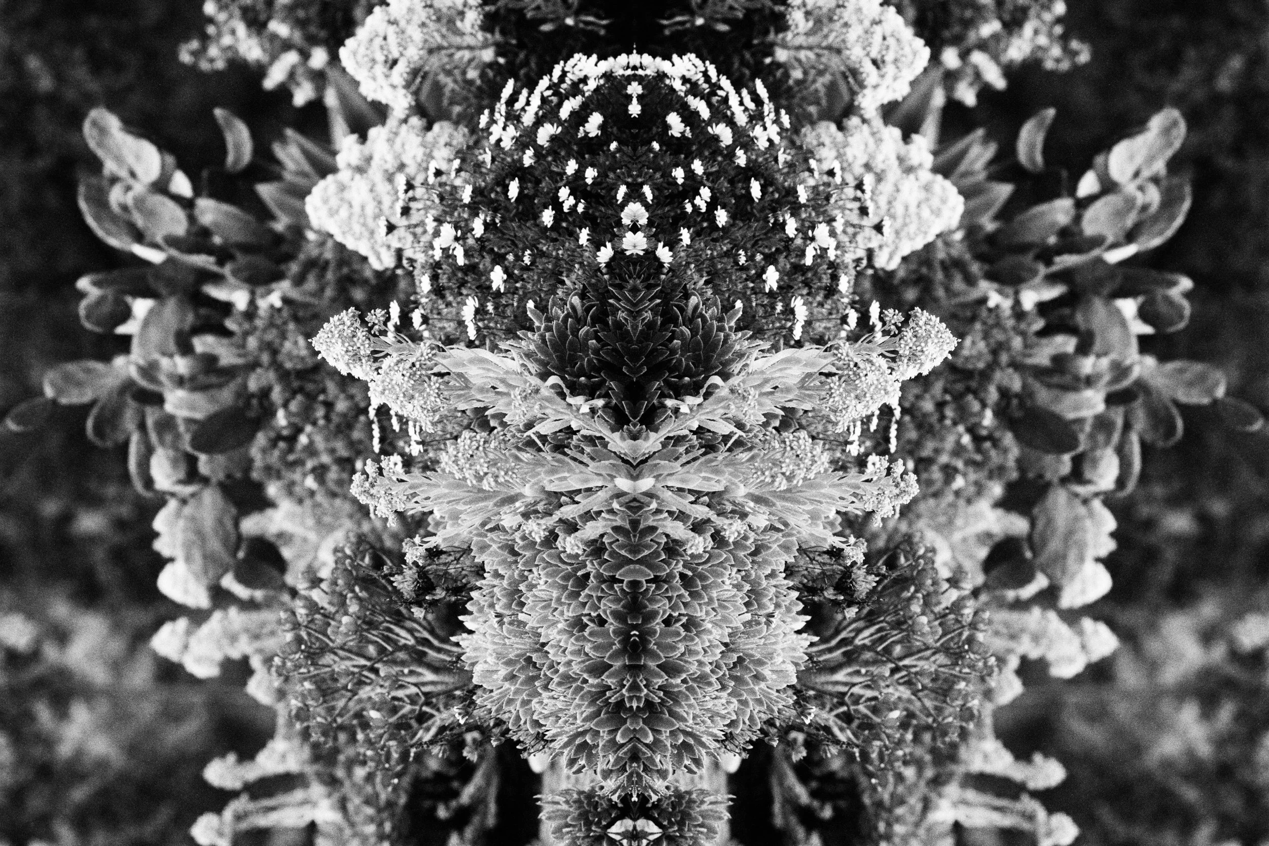 REFLECTION ETERNAL-10.jpg