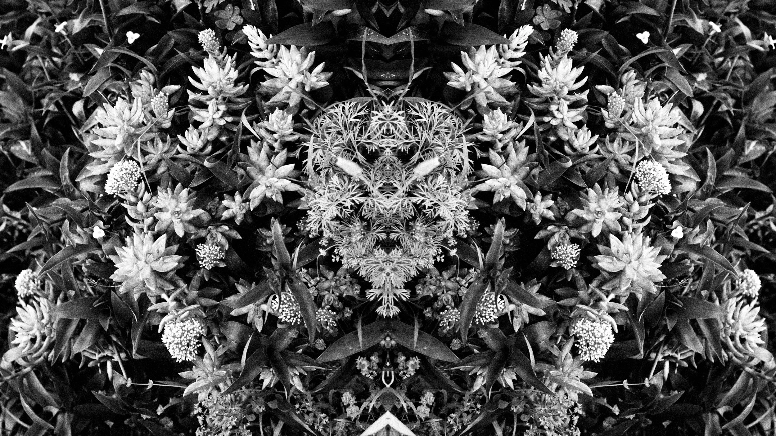 REFLECTION ETERNAL-11.jpg