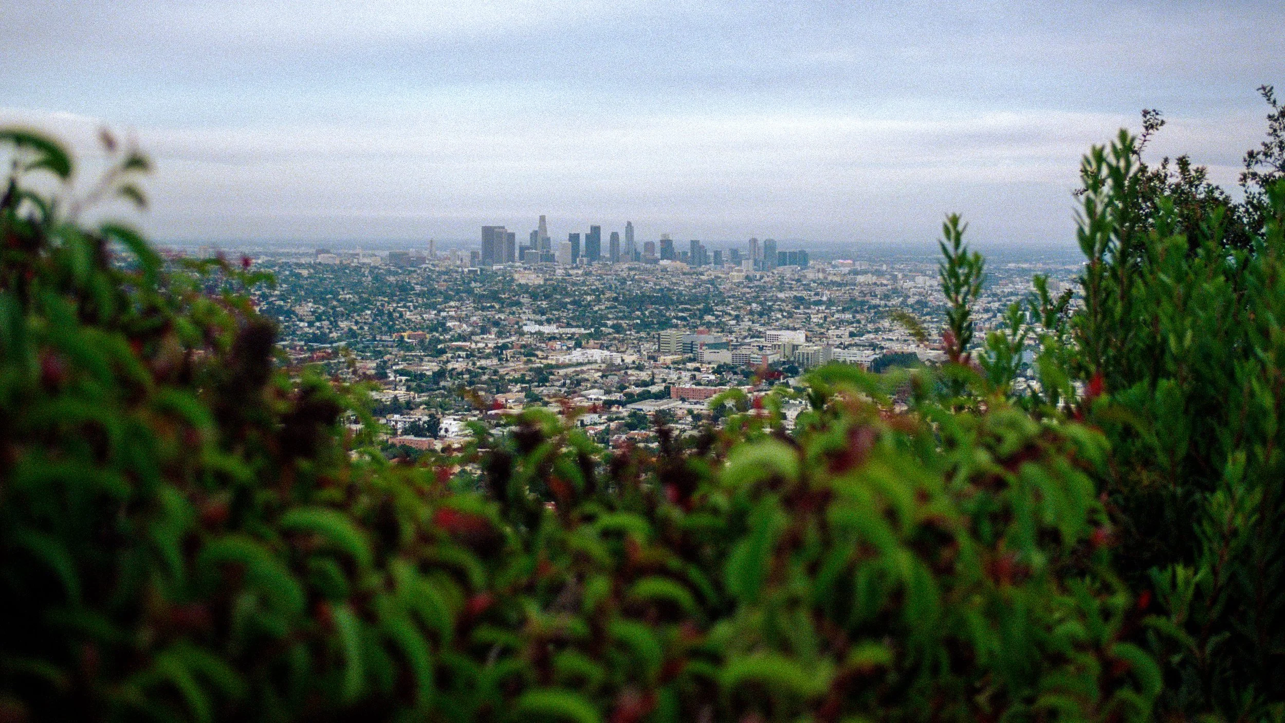 POSTCARDS FROM LA-6.jpg
