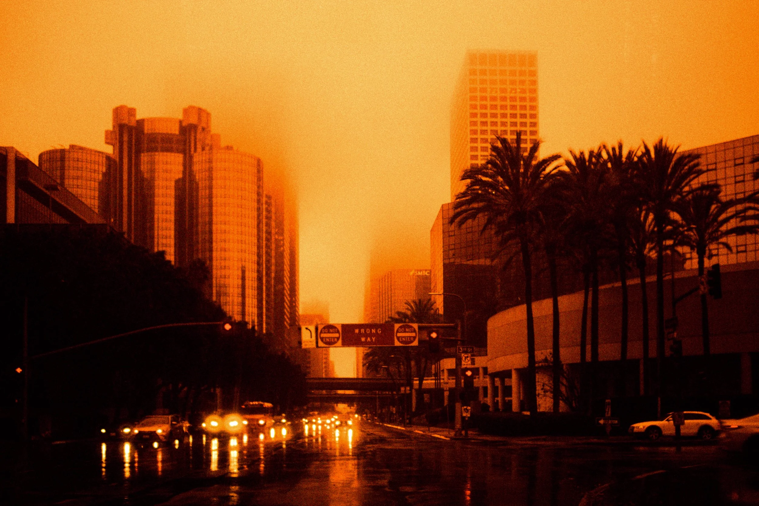 POSTCARDS FROM LA-10.jpg