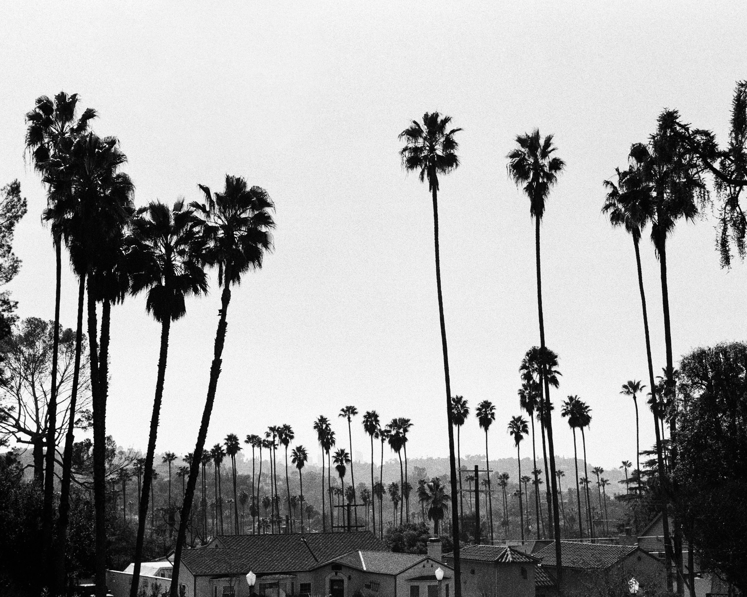 POSTCARDS FROM LA-17.jpg