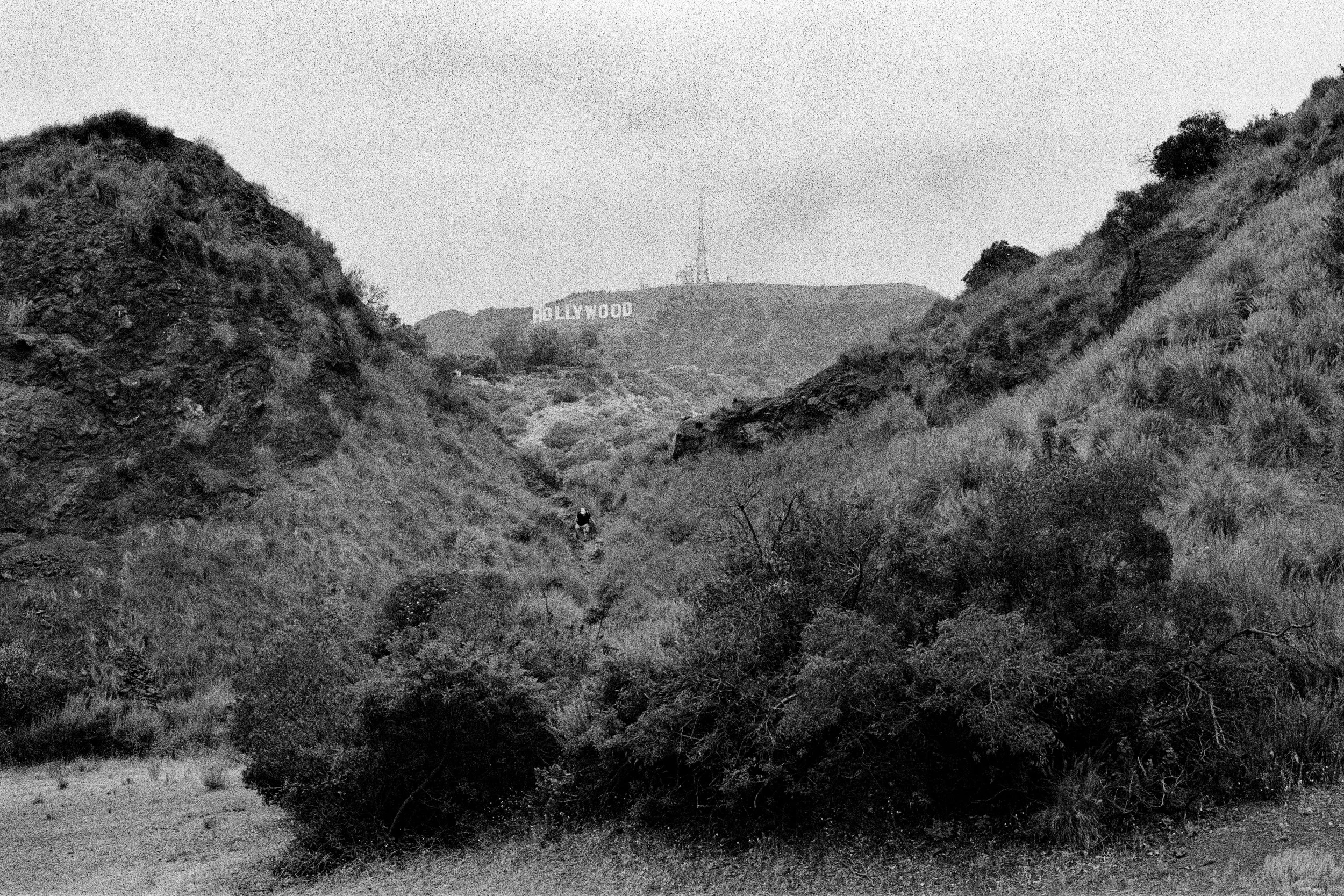 POSTCARDS FROM LA-19.jpg