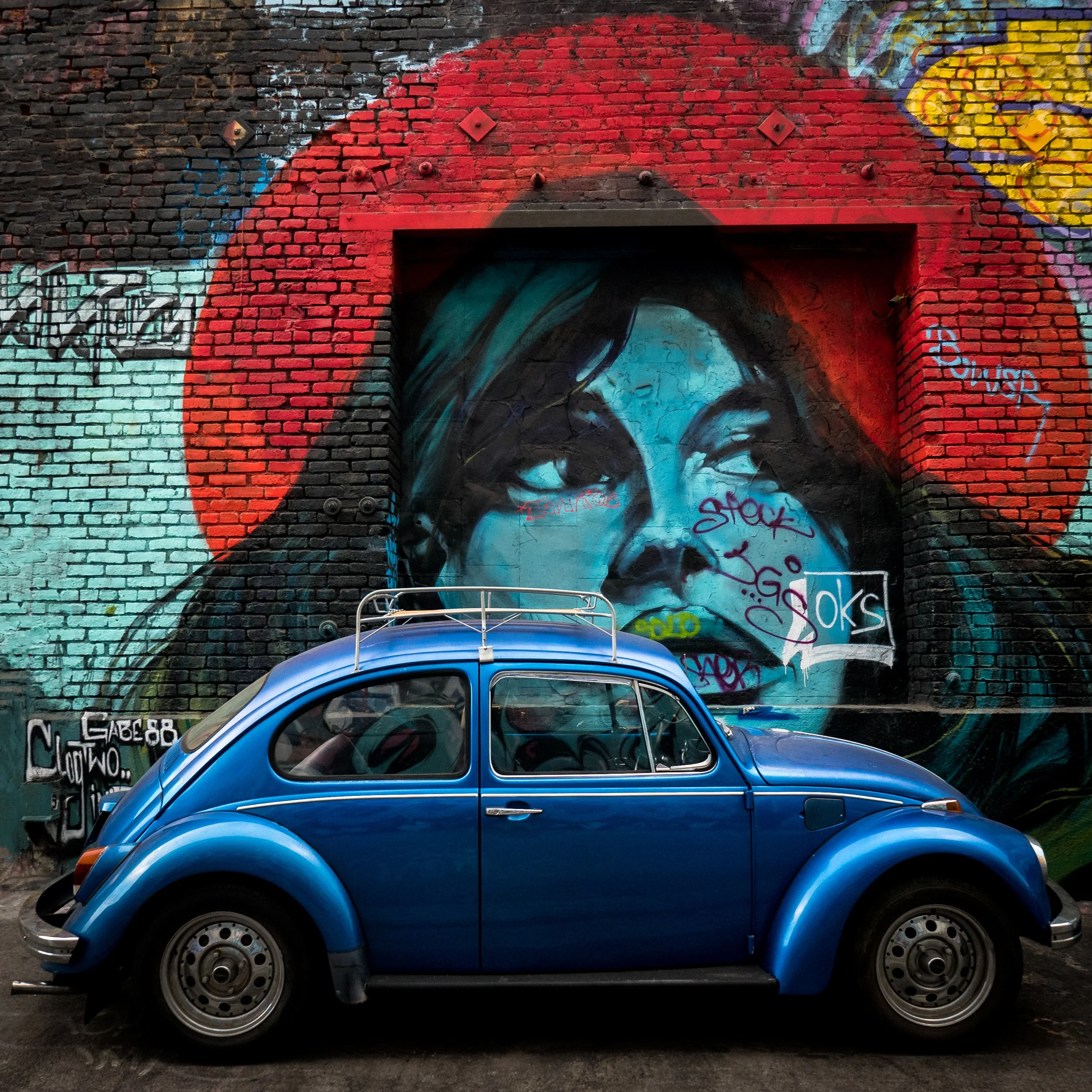 WHIP APPEAL-2.jpg