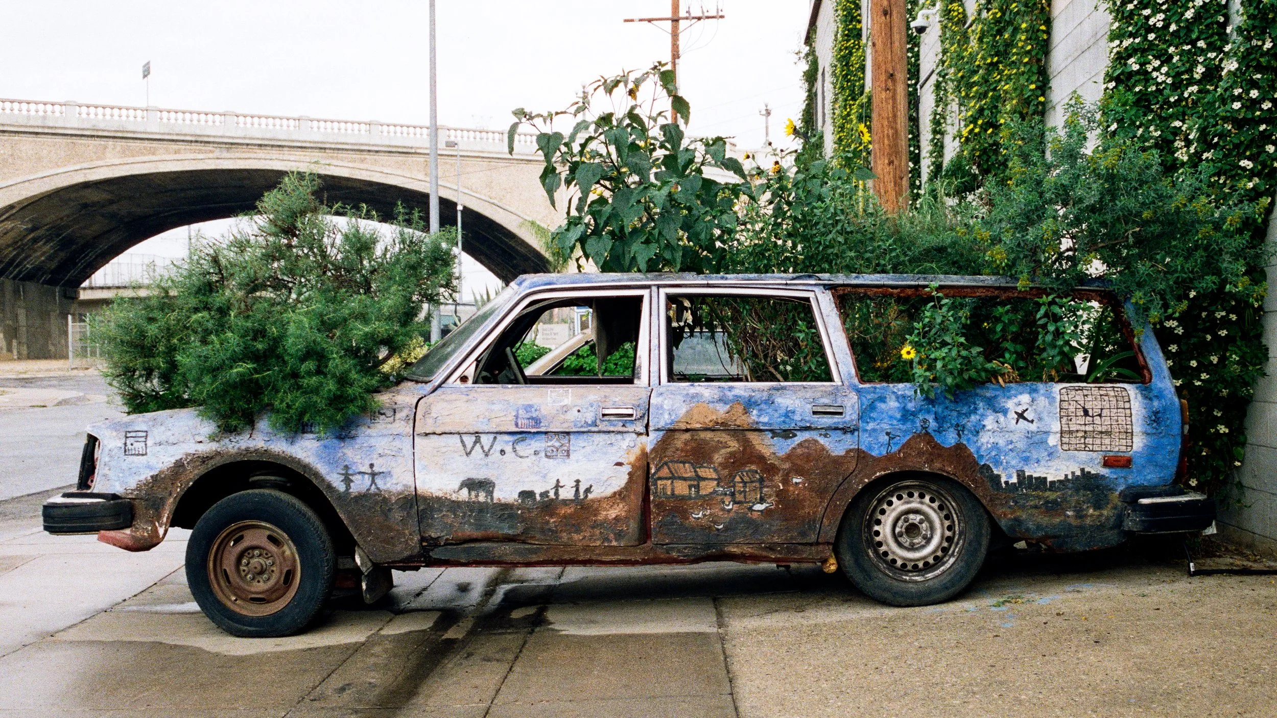 WHIP APPEAL-6.jpg