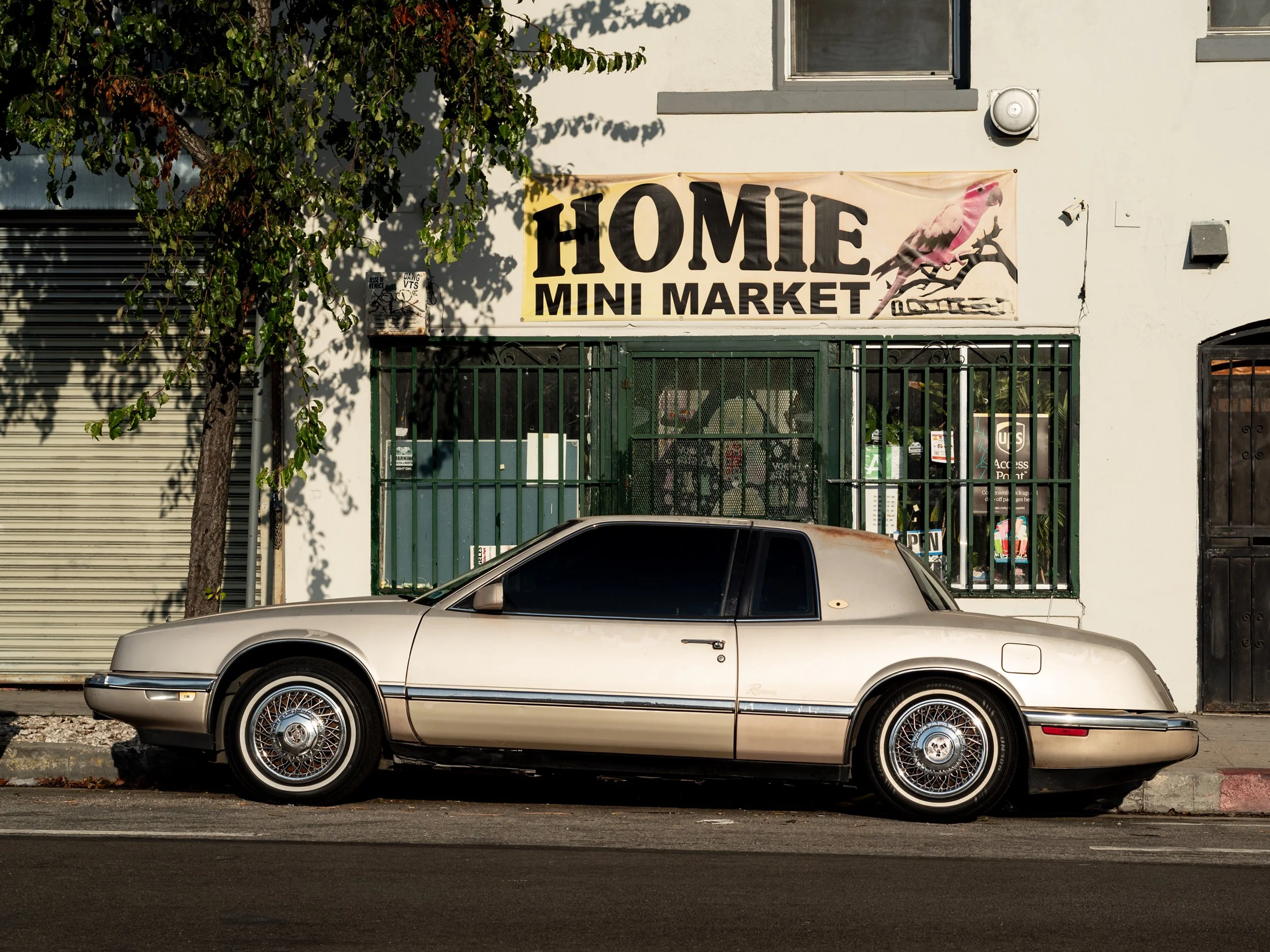 WHIP APPEAL-11.jpg