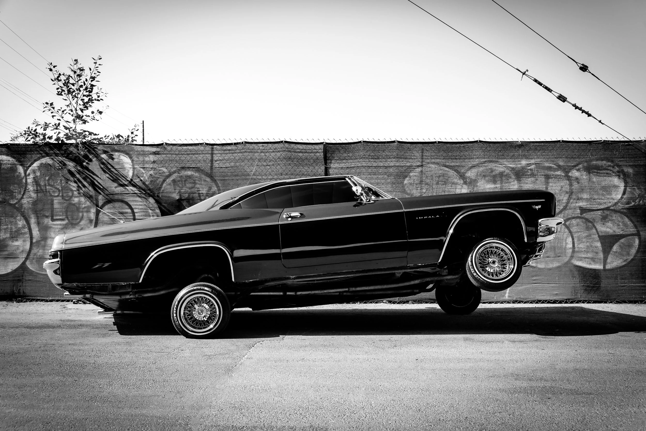 WHIP APPEAL-13.jpg