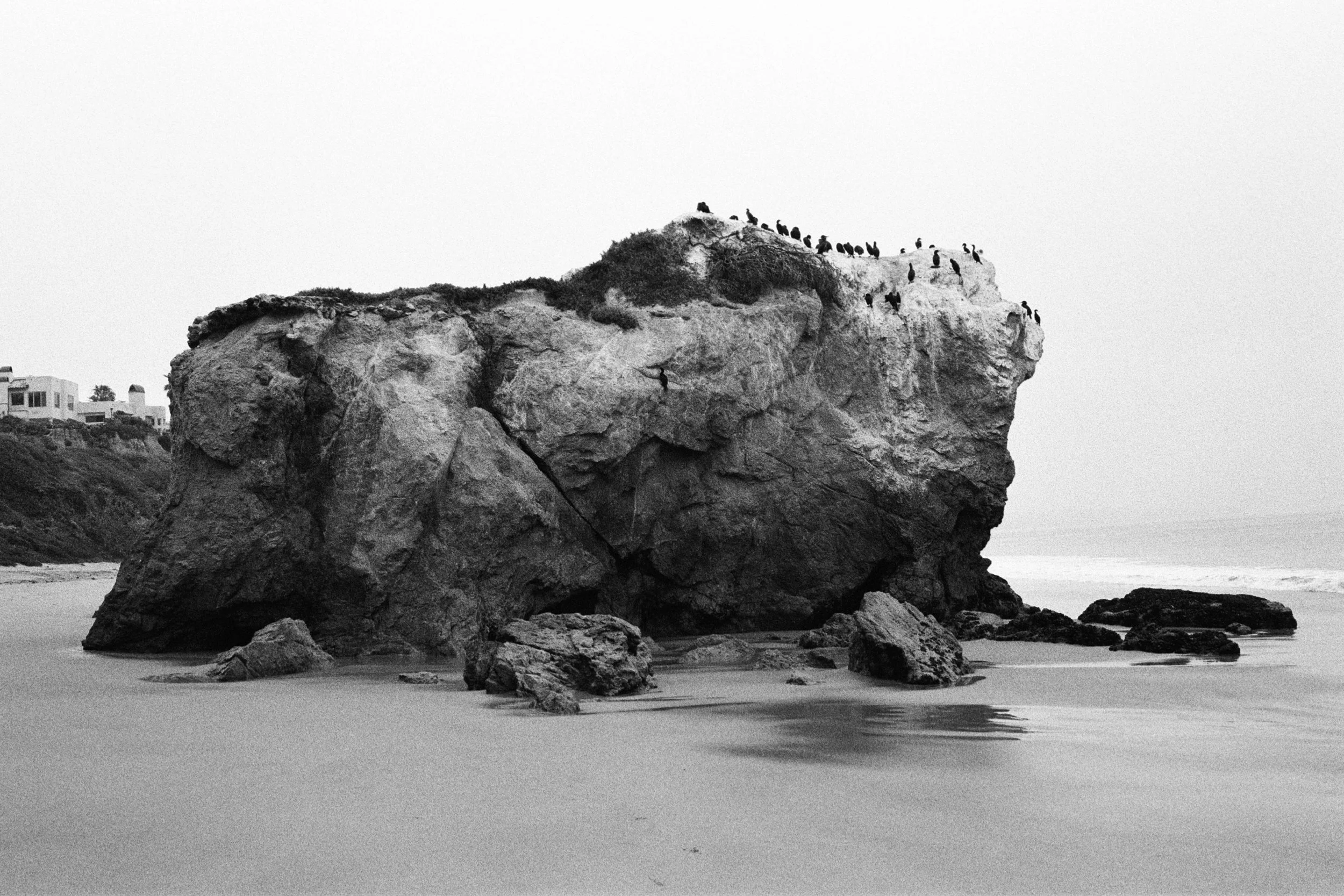 COASTAL MEMORY-7.jpg