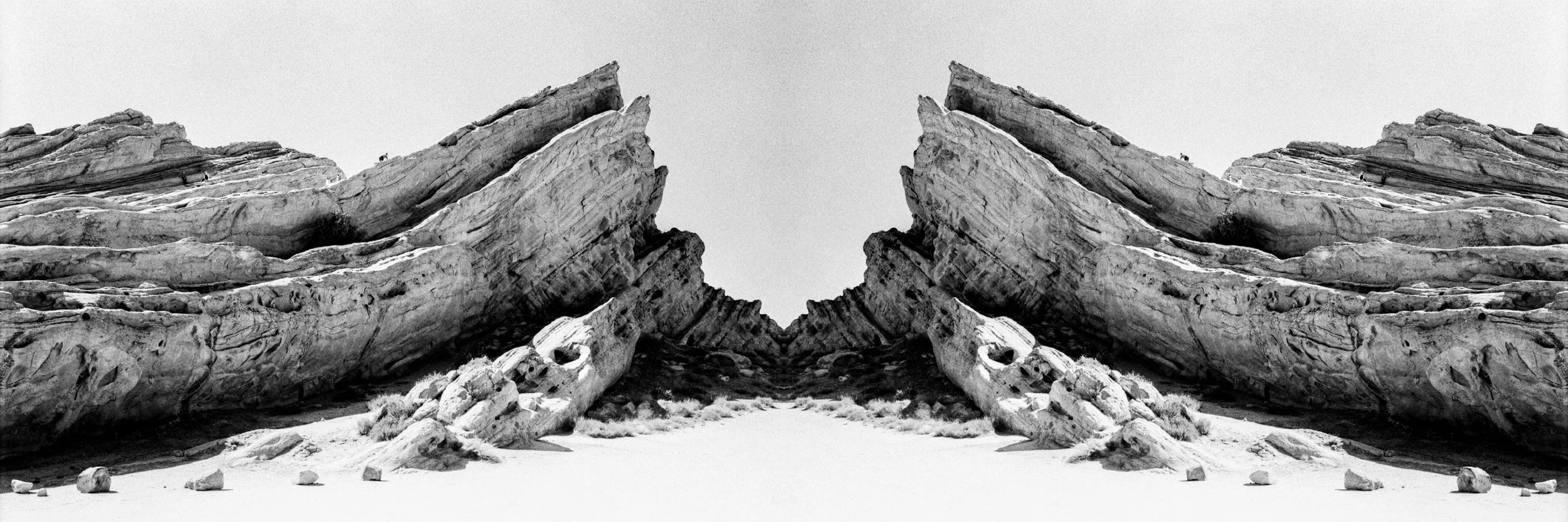 ALIEN LANDSCAPE.jpg