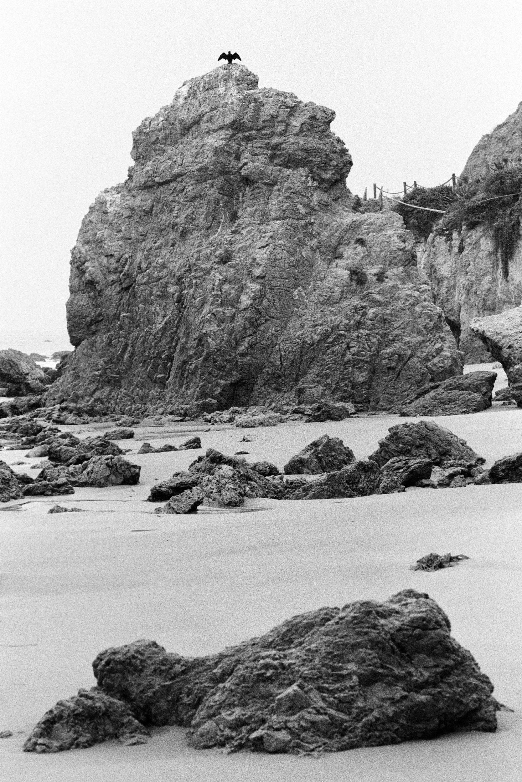 Coastal Memory-9.jpg