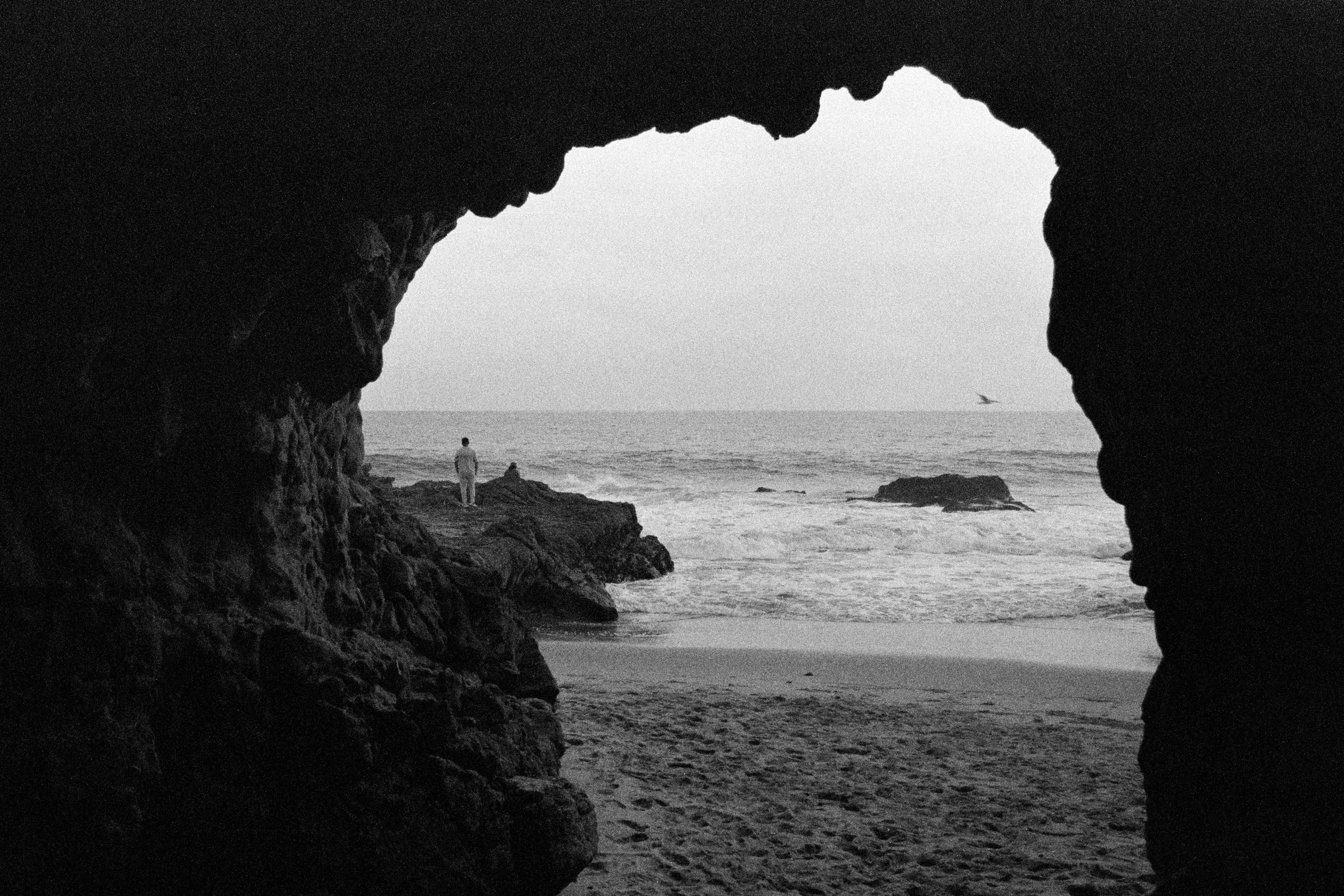 CAVE DWELLER.jpg