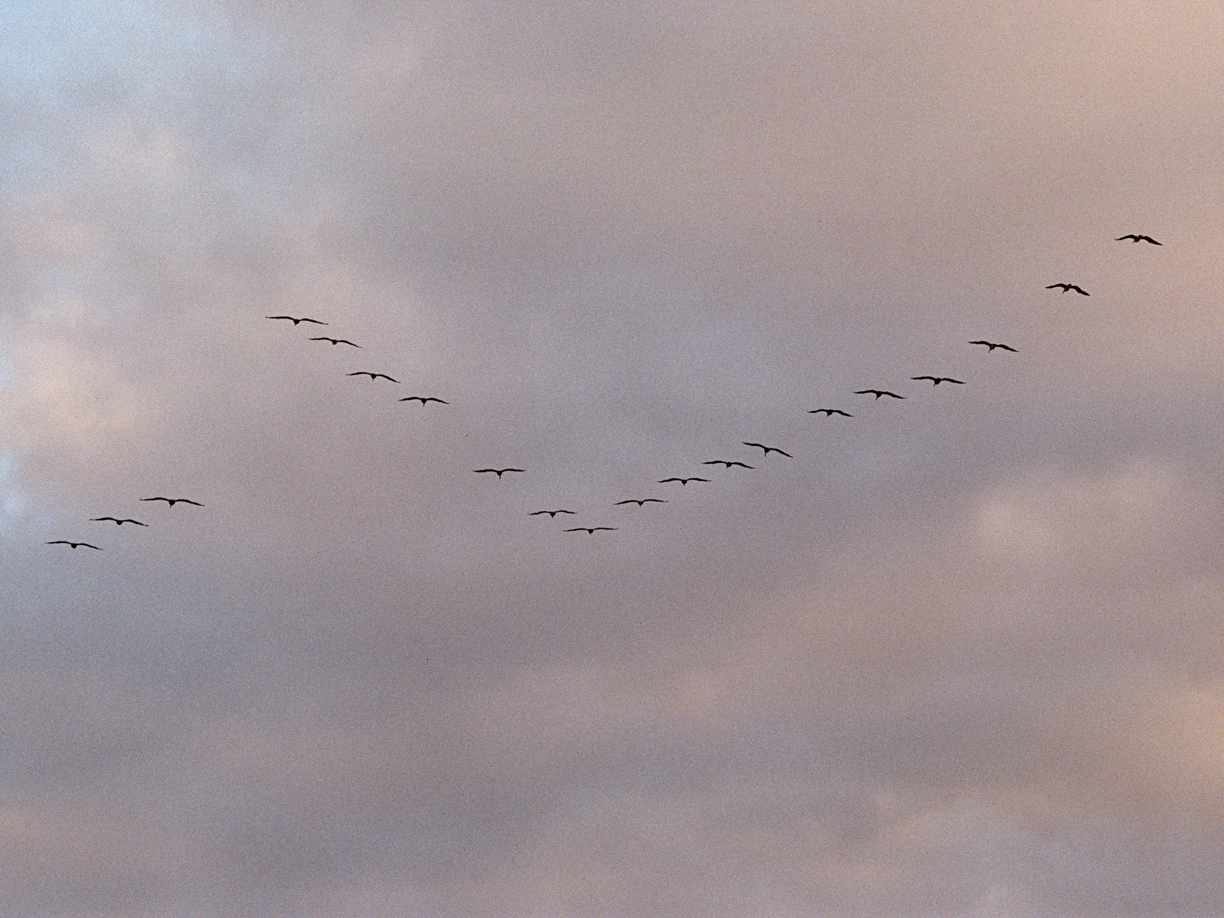 DEPARTURE.jpg