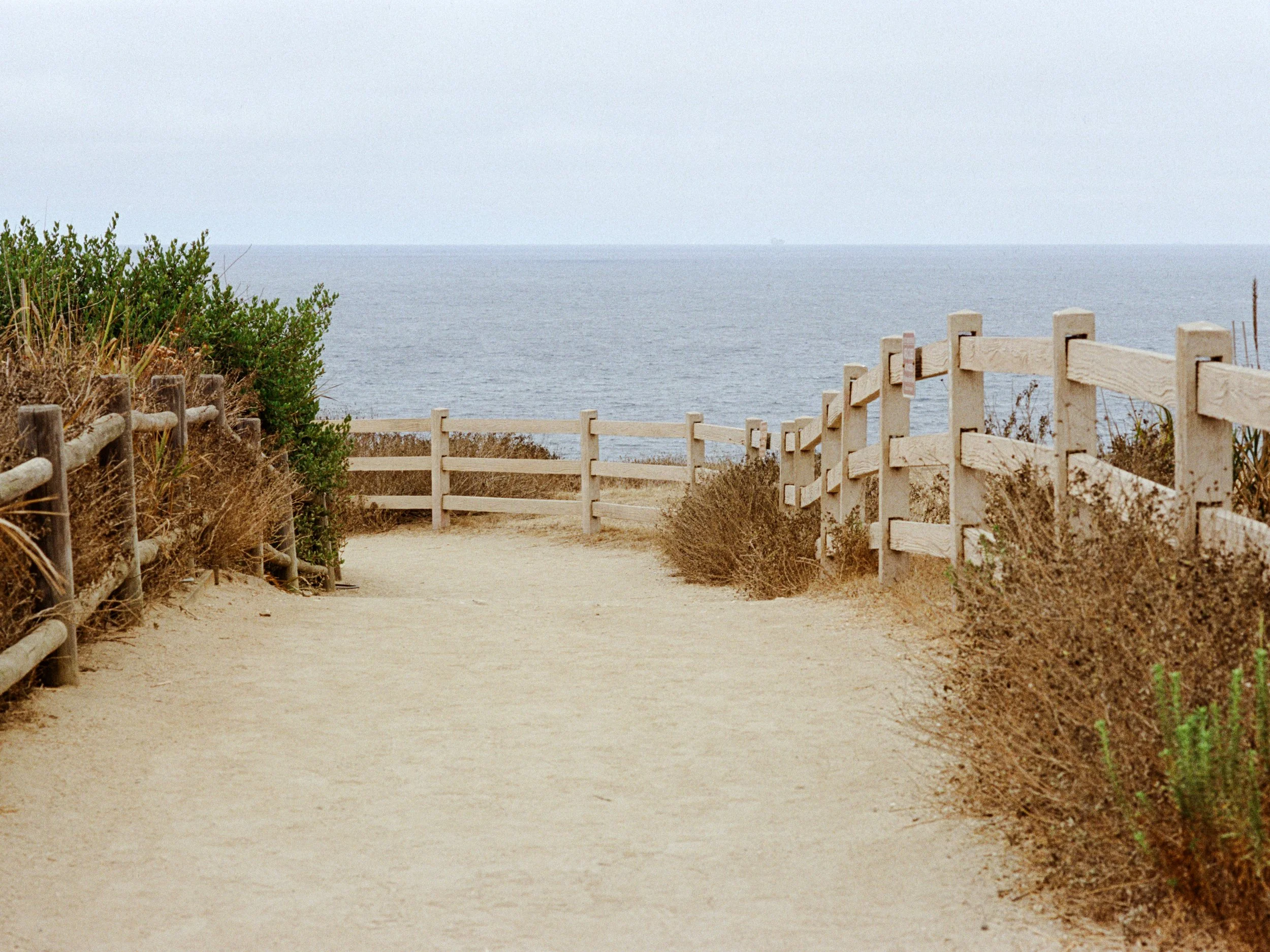 PATH TO SEA.jpg