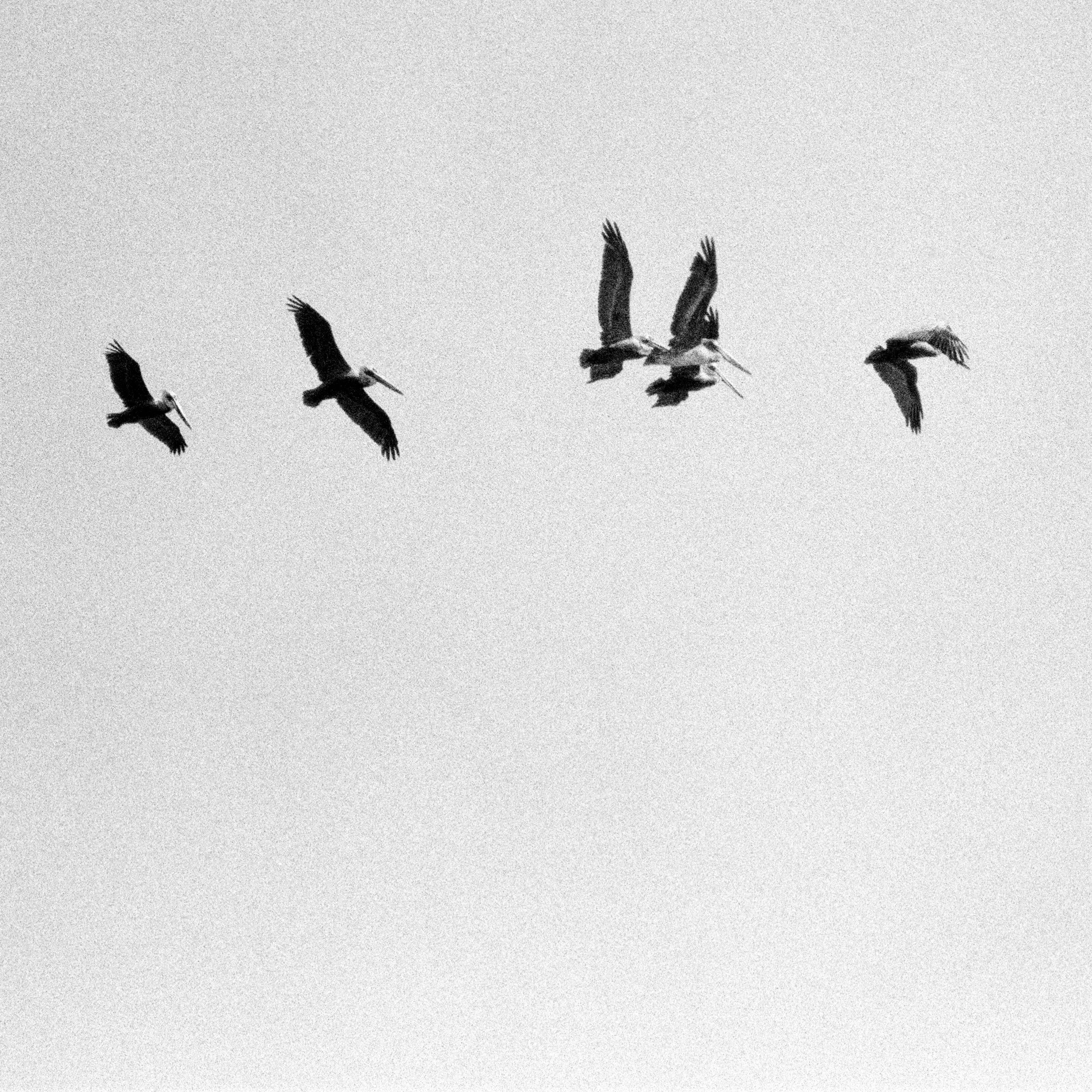 DUE SOUTH.jpg