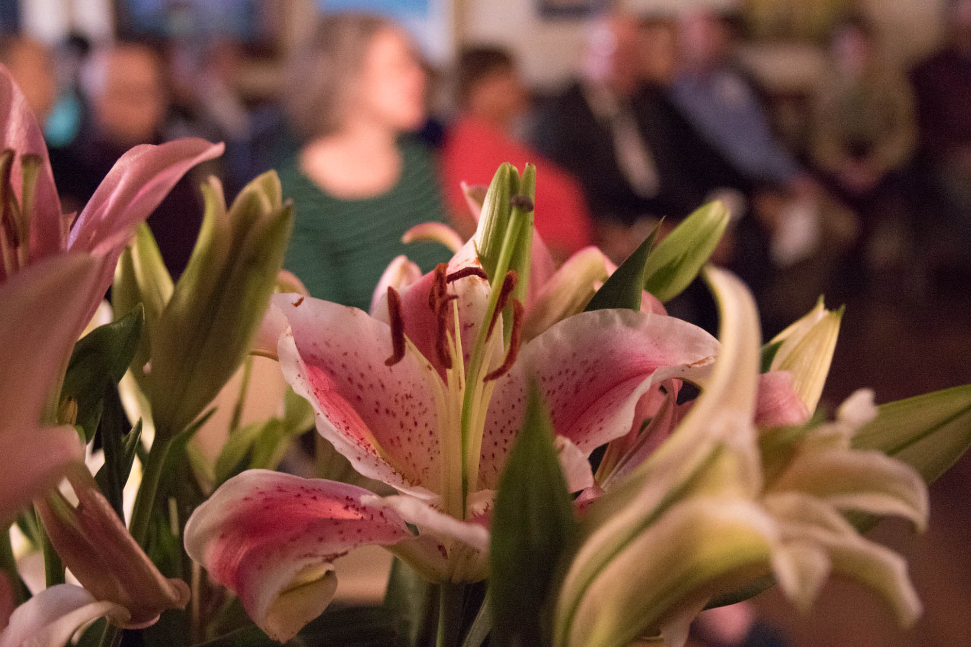 0110liliesk.jpg