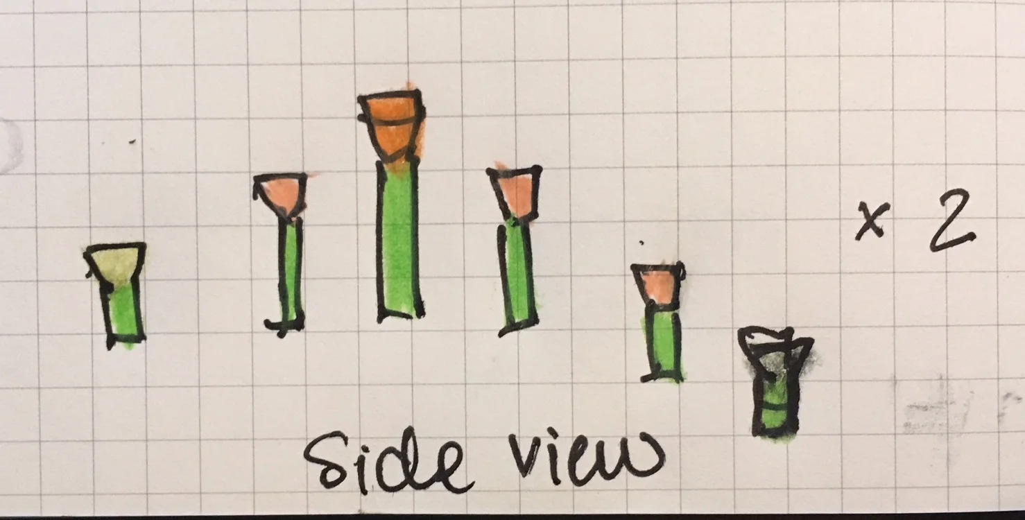 image2.jpeg