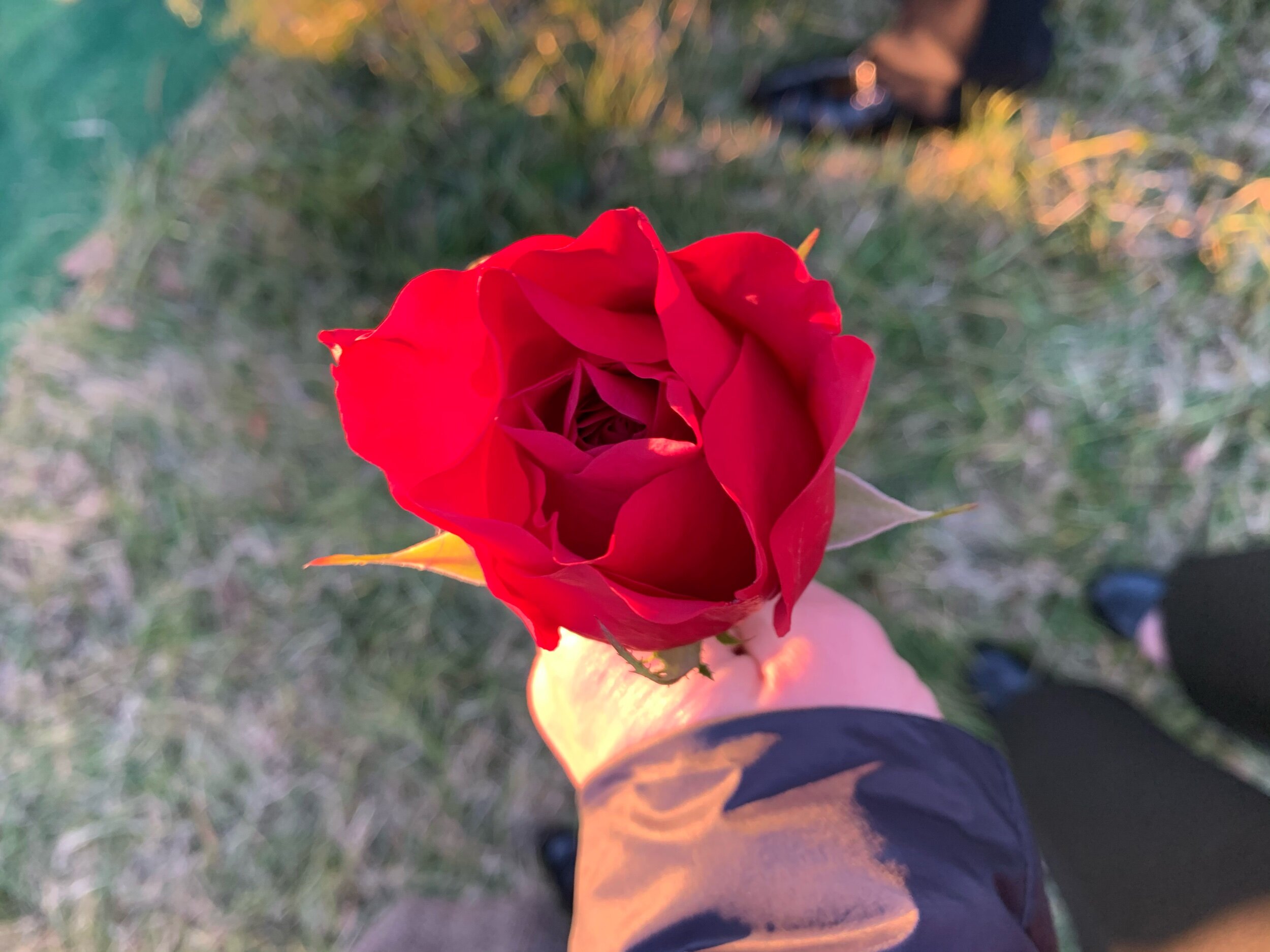IMG_3769.jpeg