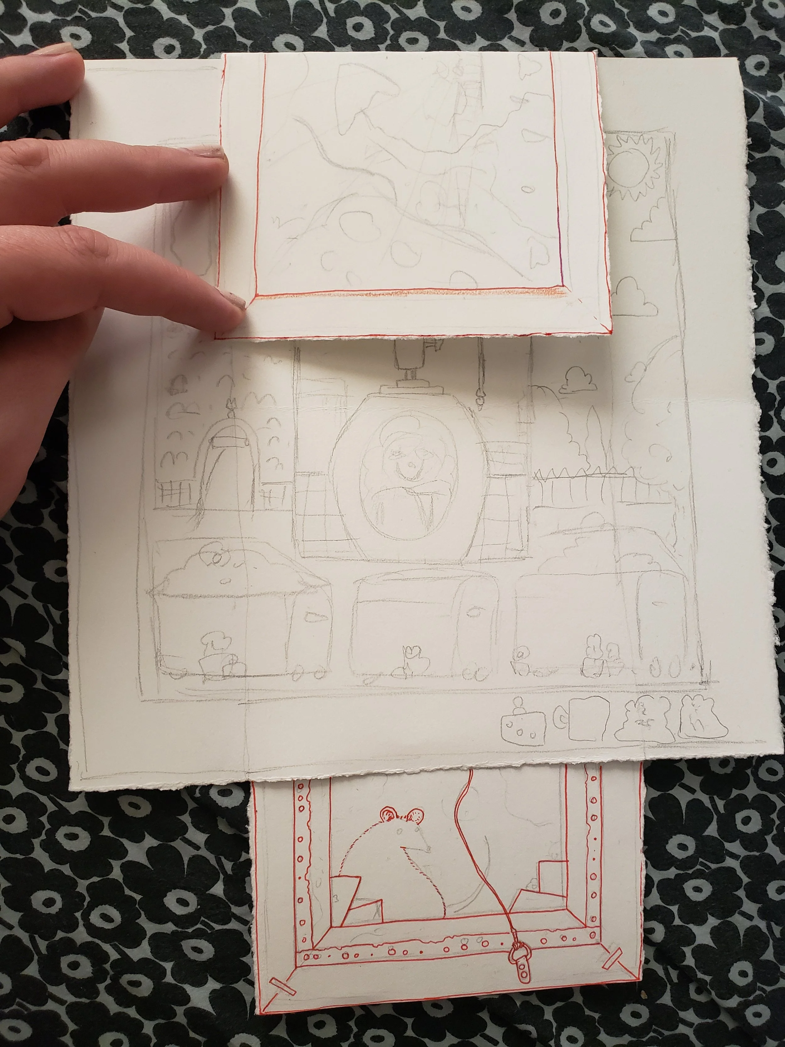 study5.jpg