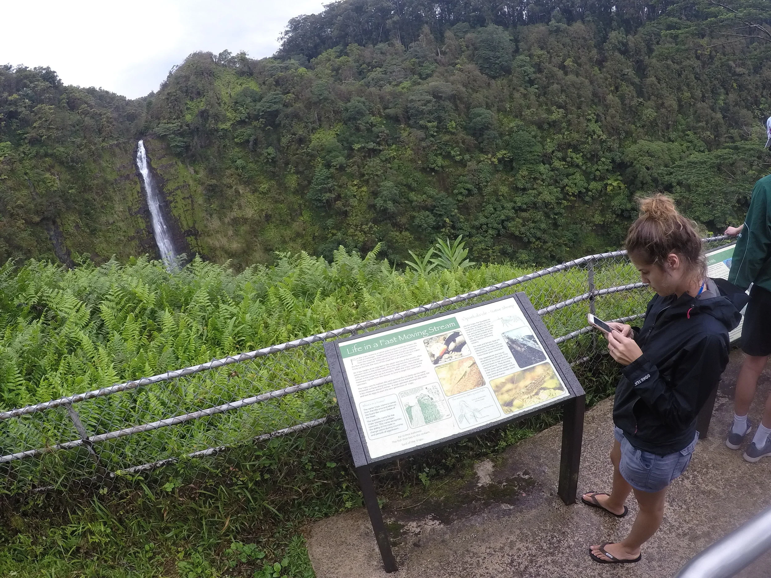 GOPR0505.JPG