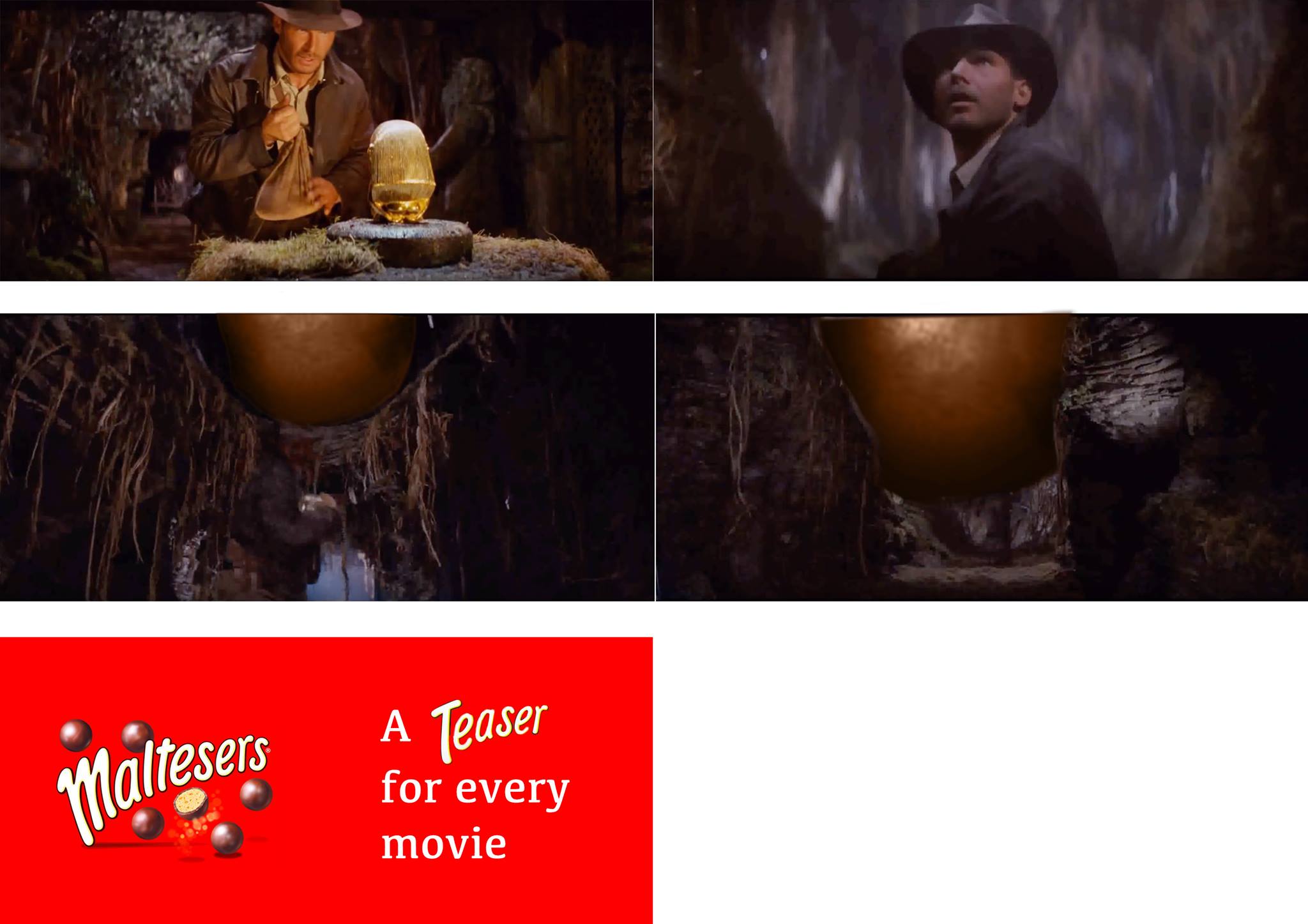 Indiana Malteser.jpg