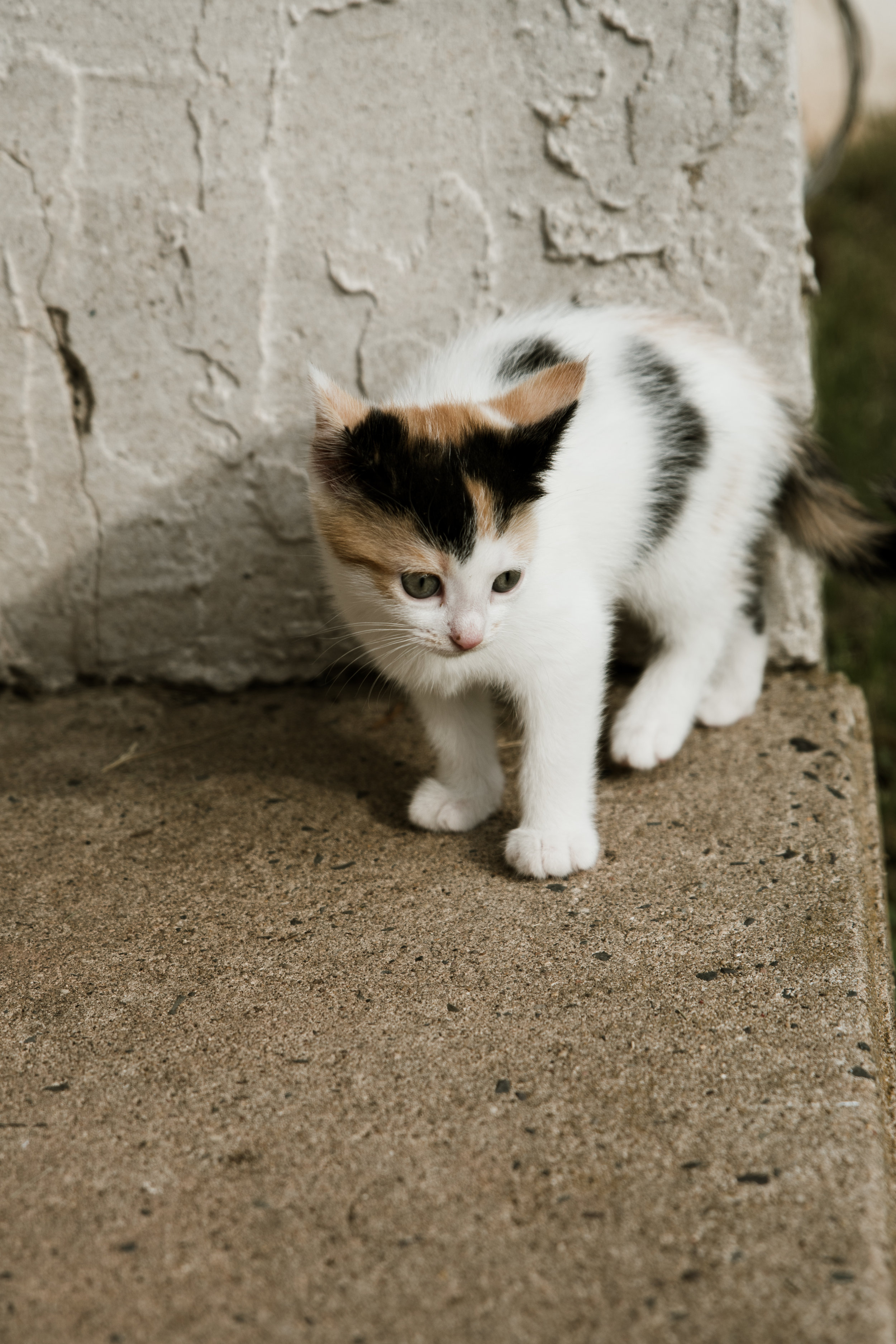 DSC_1071.jpg