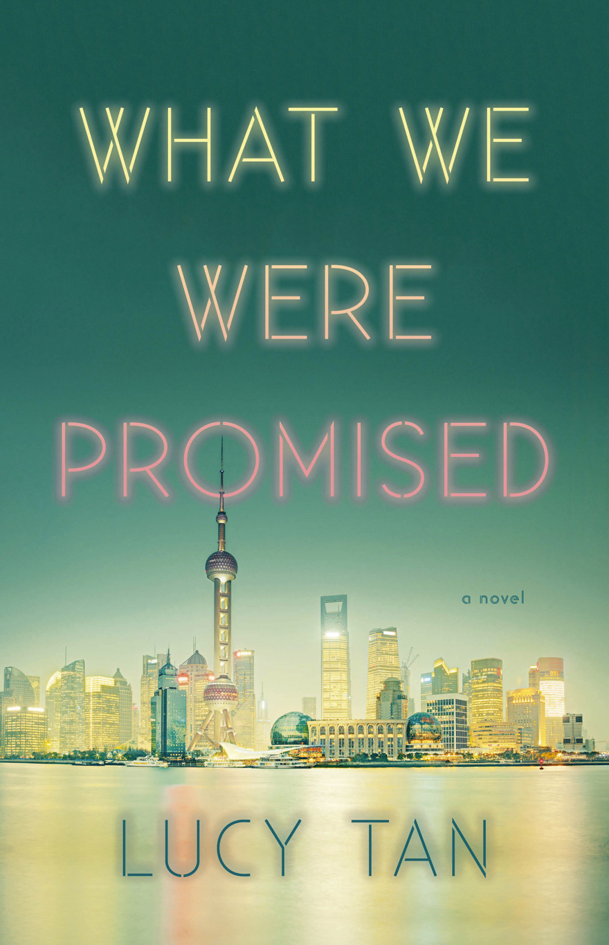 what we were promised.jpg