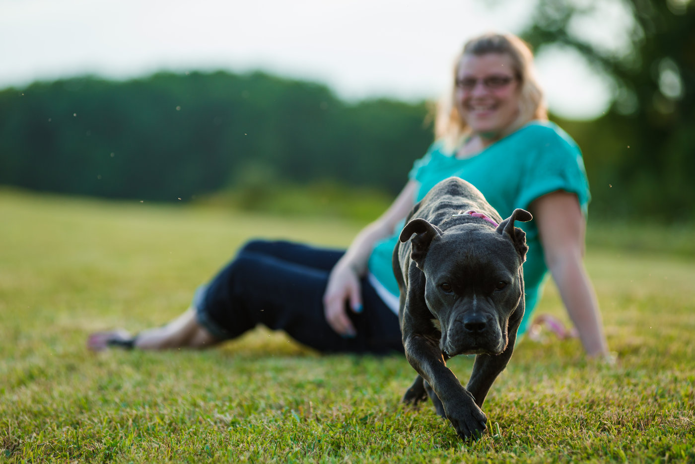 National Pit Bull Awareness Month