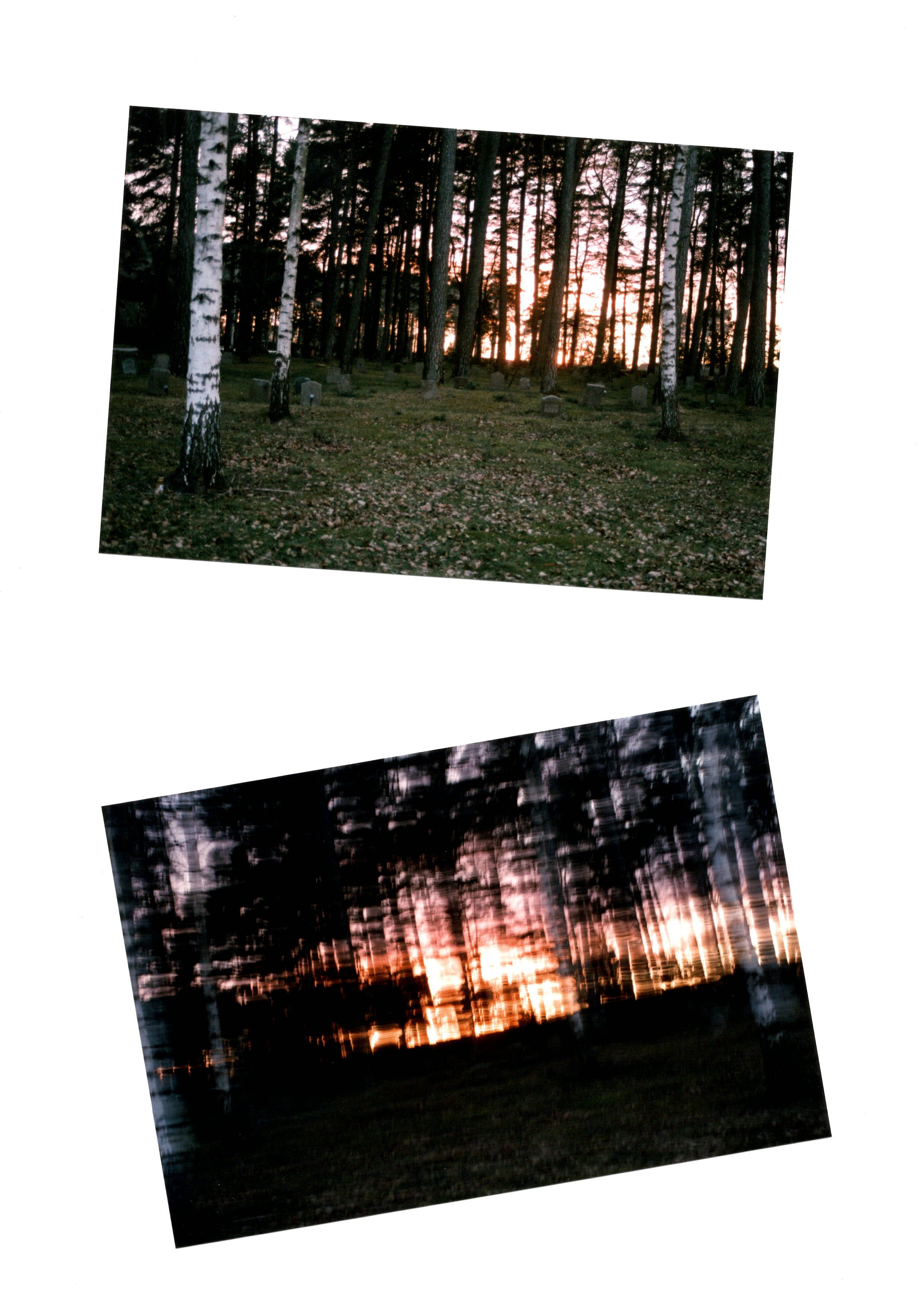 Scan 1.jpeg